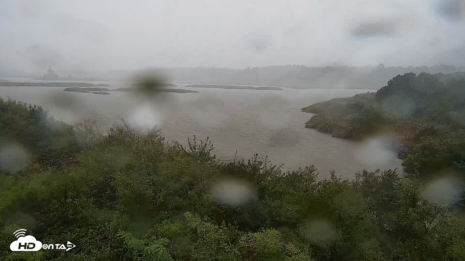 Snapshot of Hog Island Wildlife Management Area Live Cam taken Sep 12, 2026, 5:10pm EDT