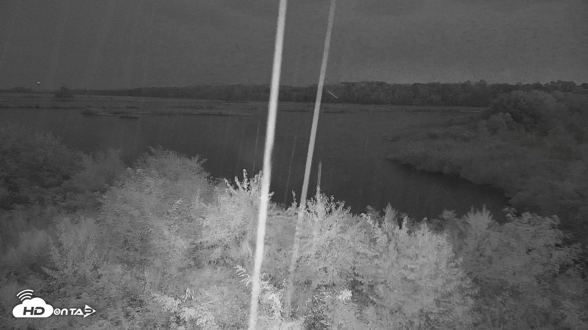 Snapshot of Hog Island Wildlife Management Area Live Cam taken Sep 4, 2026, 7:50pm EDT