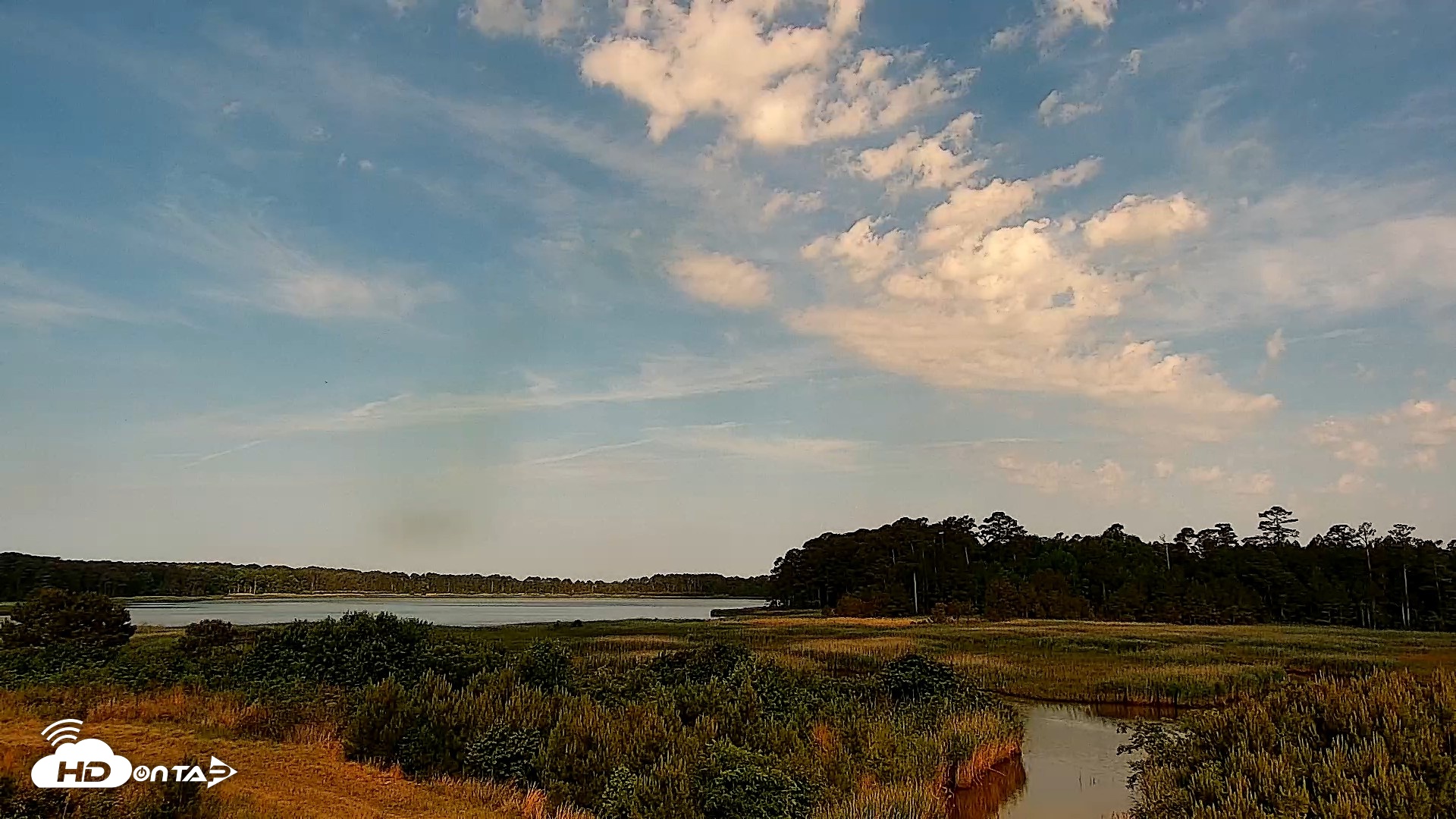Snapshot of Hog Island Wildlife Management Area Live Cam taken May 21, 2026, 9:10am EDT