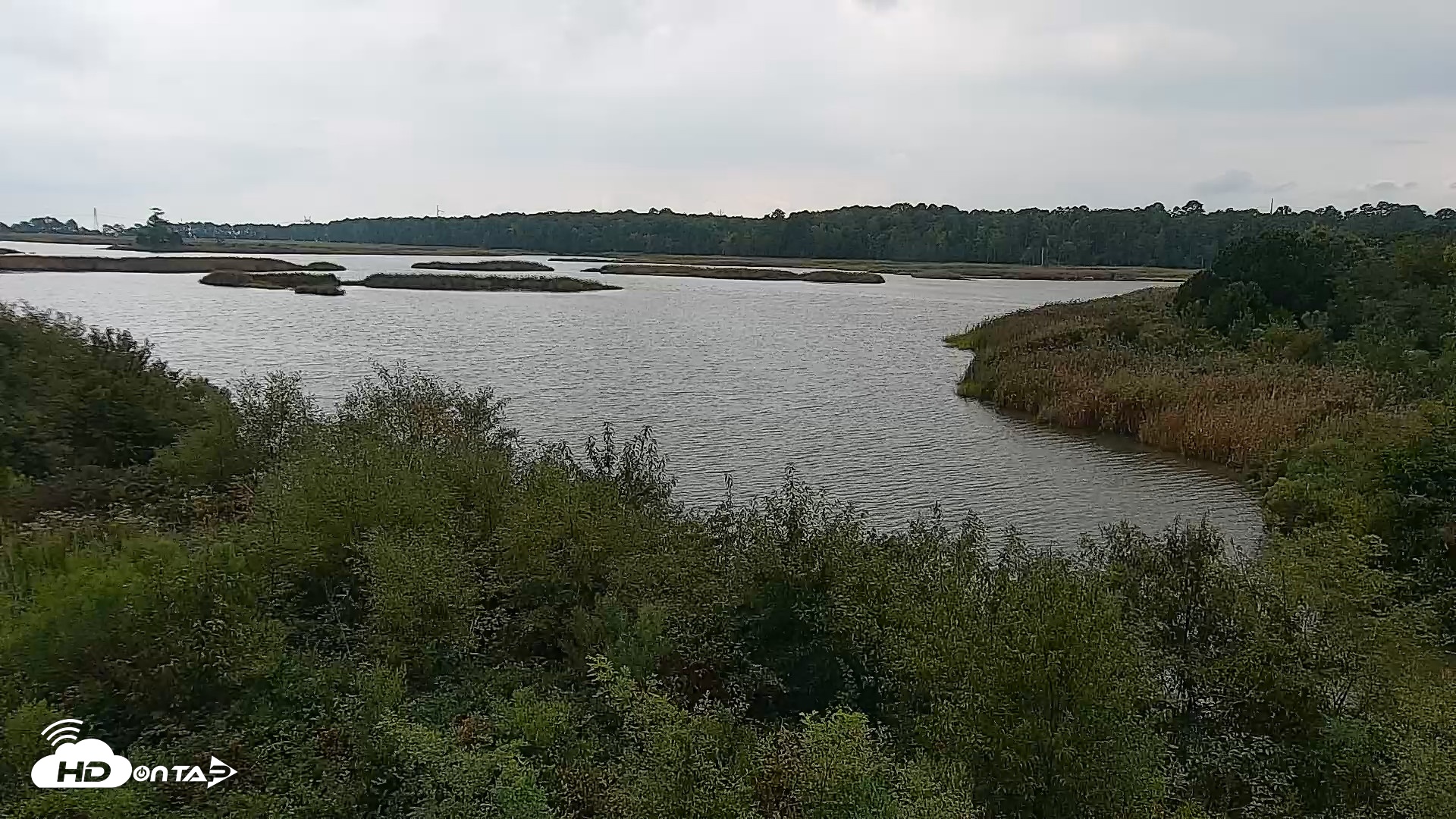 Snapshot of Hog Island Wildlife Management Area Live Cam taken Sep 12, 2026, 12:14pm EDT