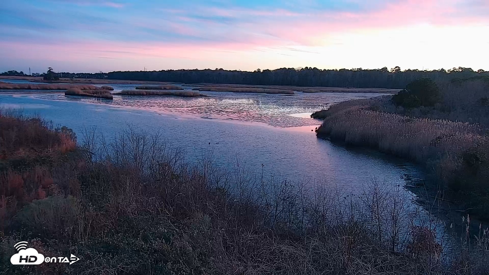 Snapshot of Hog Island Wildlife Management Area Live Cam taken Dec 20, 2025, 5:05pm EST