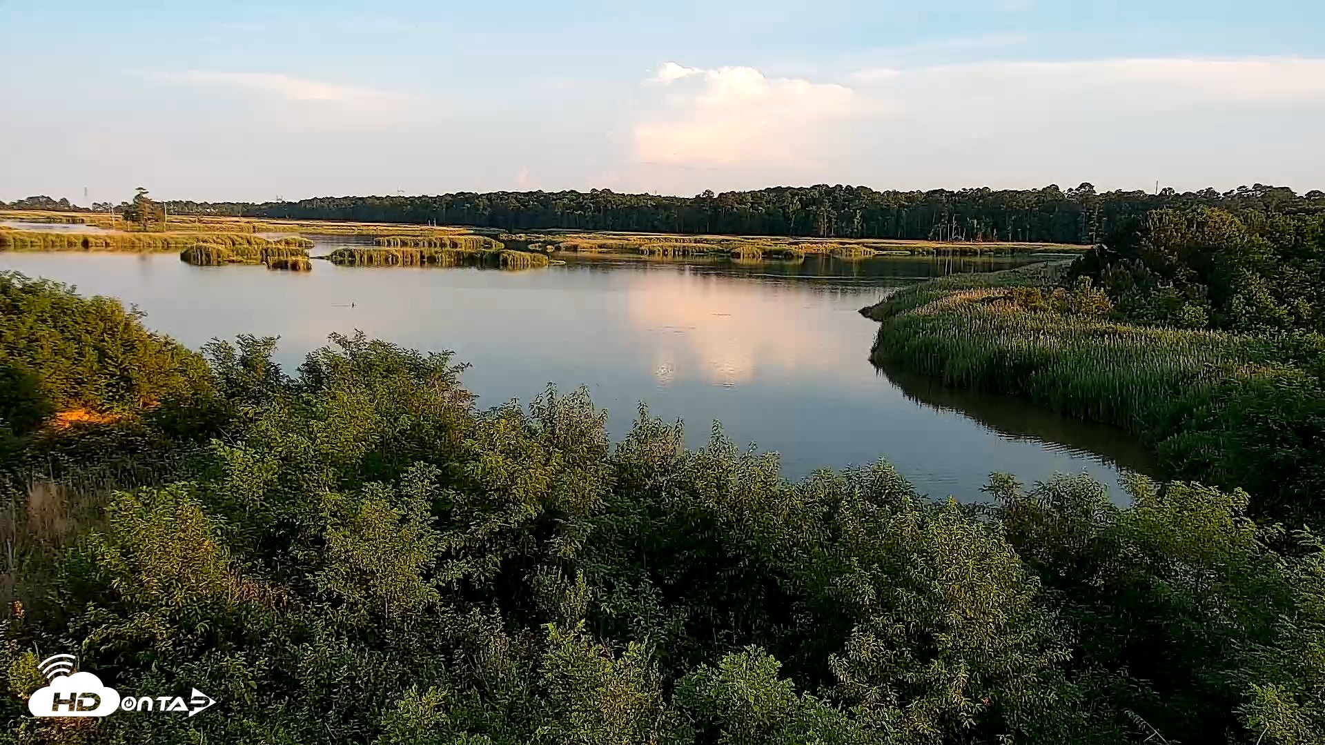 Snapshot of Hog Island Wildlife Management Area Live Cam taken Jun 11, 2026, 7:46pm EDT