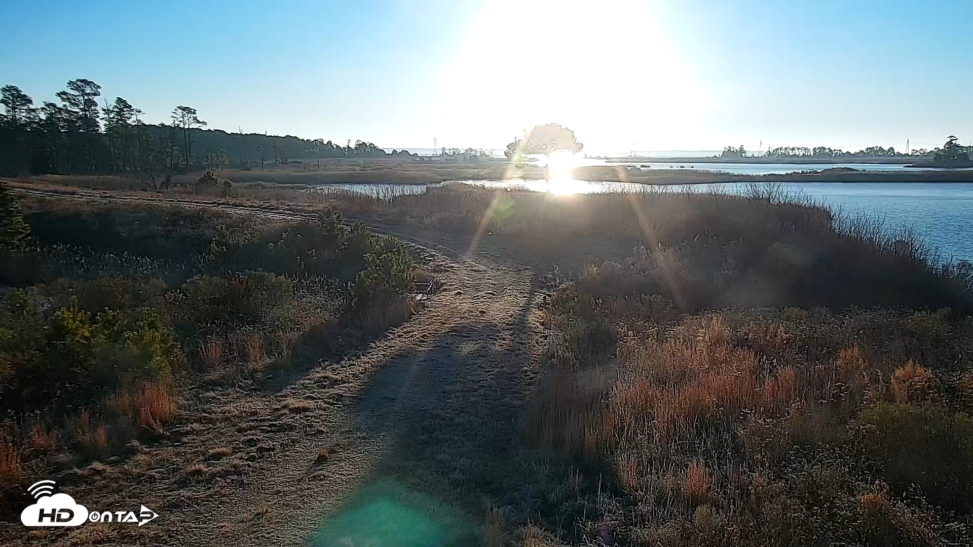 Snapshot of Hog Island Wildlife Management Area Live Cam taken Jan 19, 2026, 8:00am EST