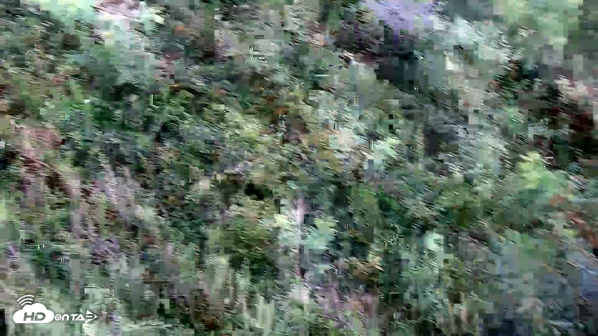 Snapshot of Hog Island Wildlife Management Area Live Cam taken Aug 20, 2026, 5:16pm EDT