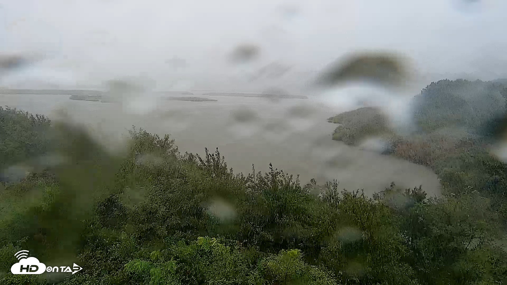 Snapshot of Hog Island Wildlife Management Area Live Cam taken Aug 20, 2026, 2:29pm EDT