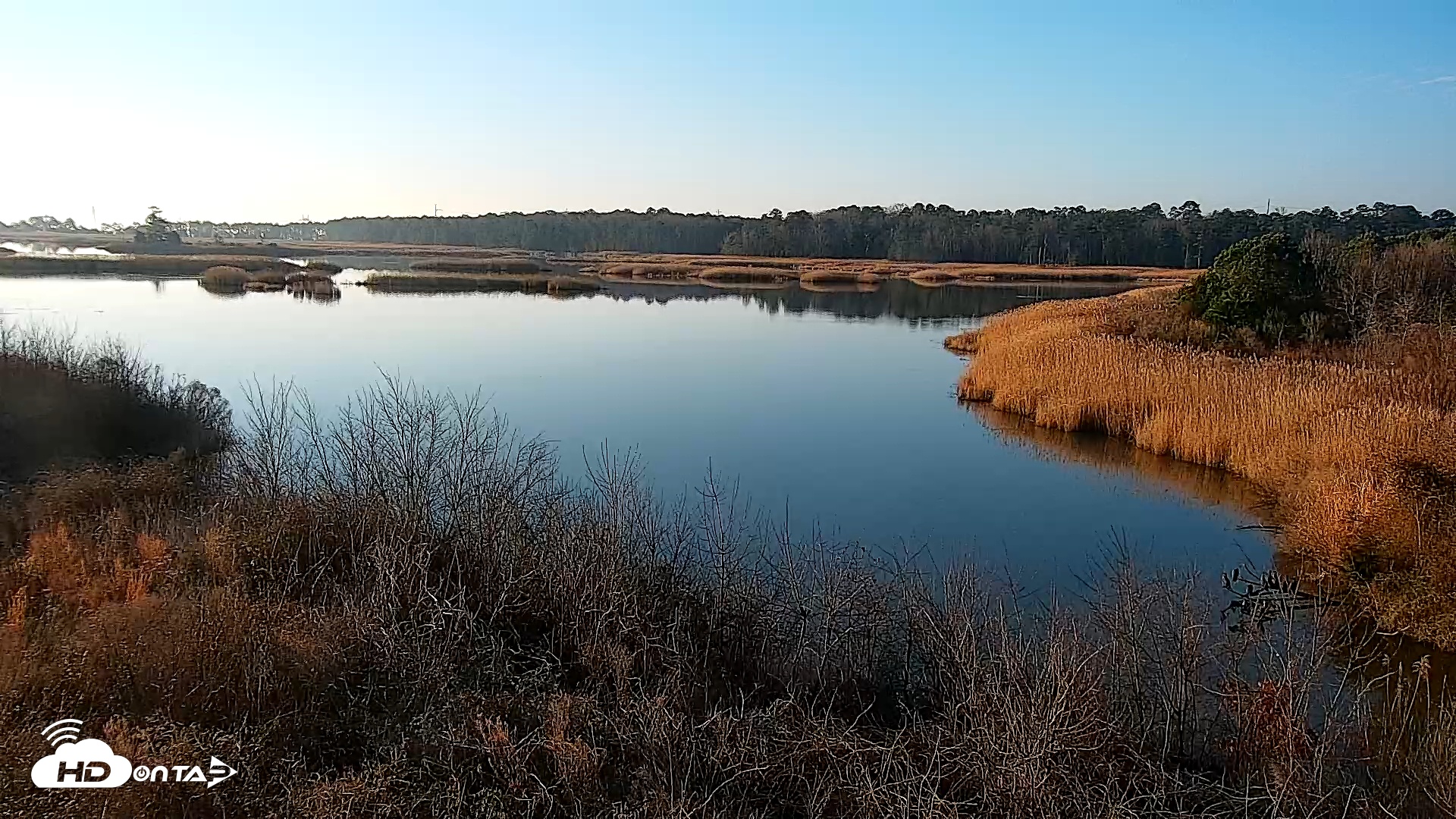 Snapshot of Hog Island Wildlife Management Area Live Cam taken Mar 1, 2026, 7:29am EST