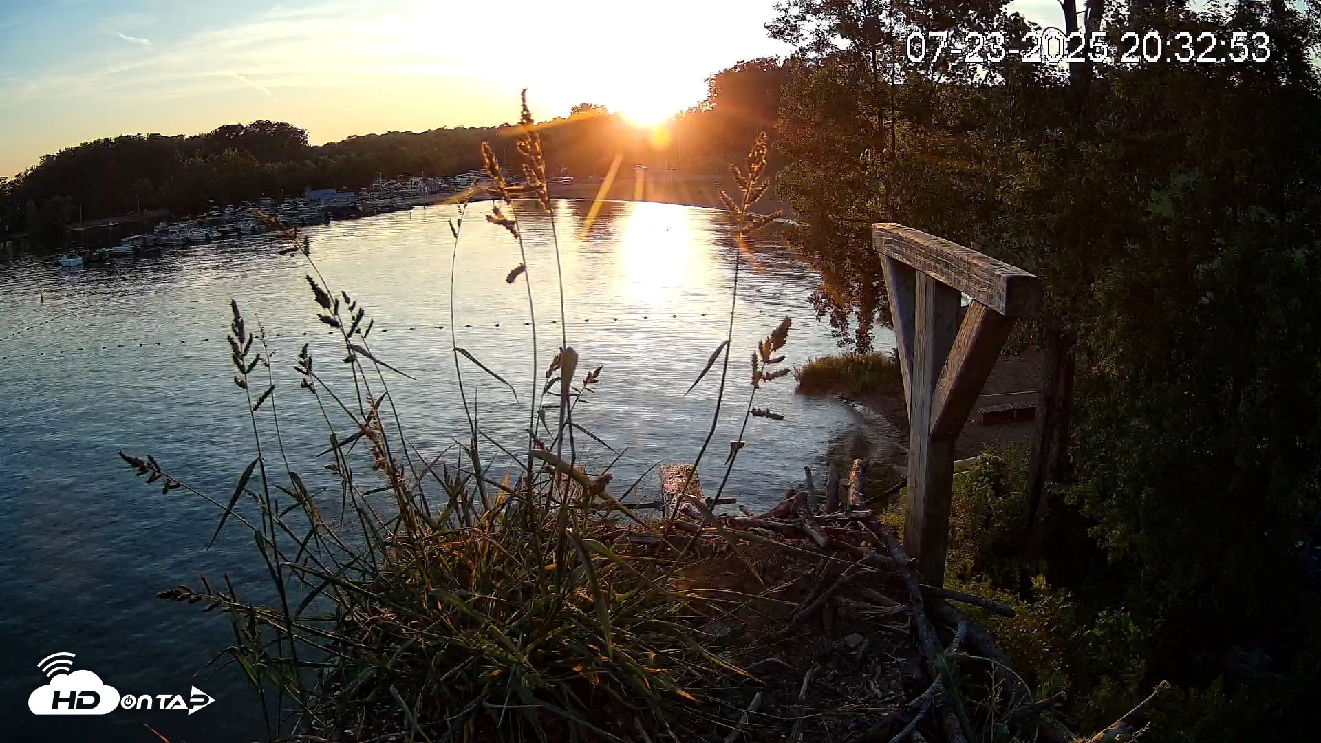 Snapshot of Pleasant Hill Lake Canada Geese Live Nest Cam taken Jul 23, 2025, 8:33pm EDT