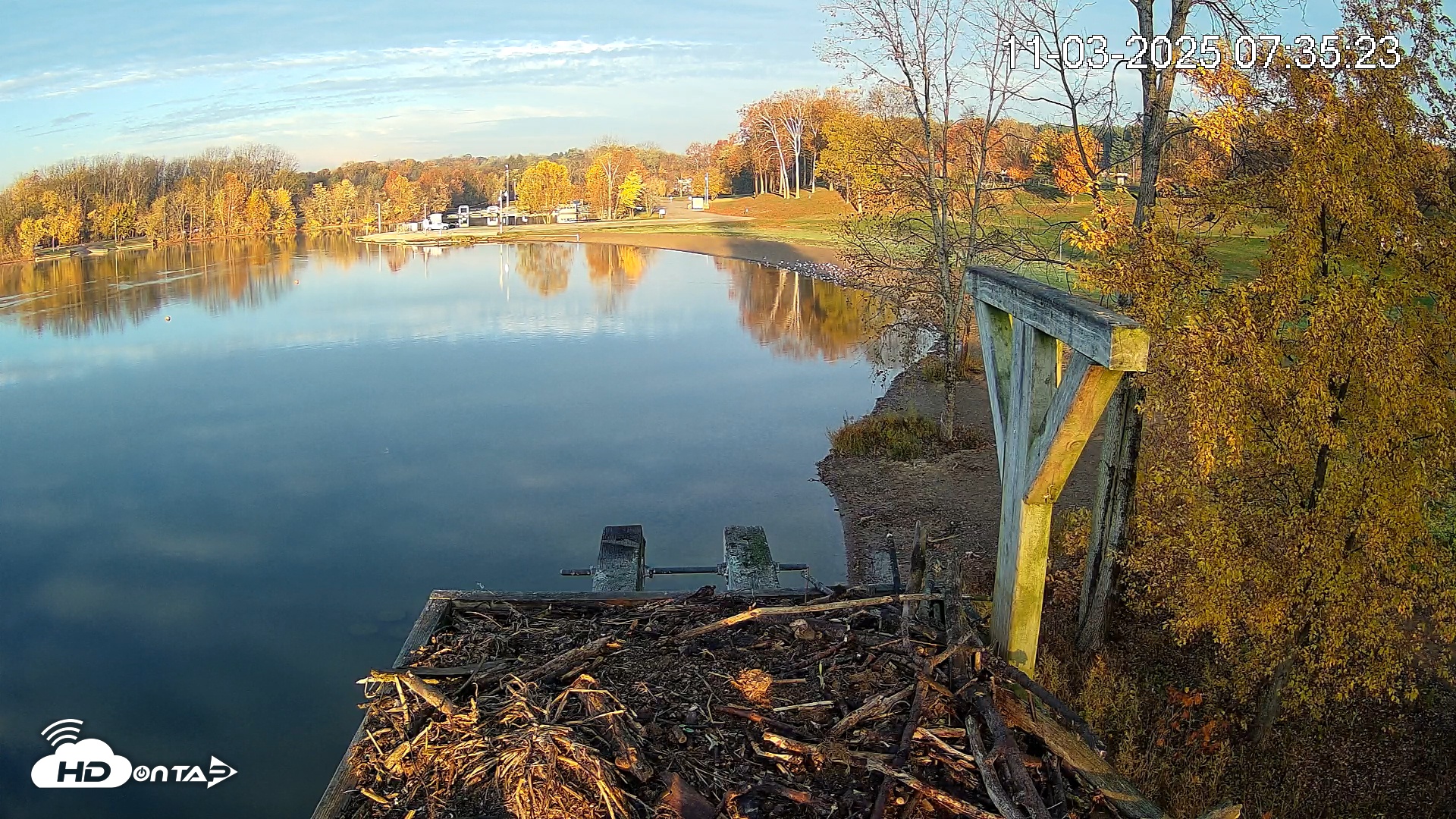 Snapshot of Pleasant Hill Lake Canada Geese Live Nest Cam taken Nov 3, 2025, 7:36am EST