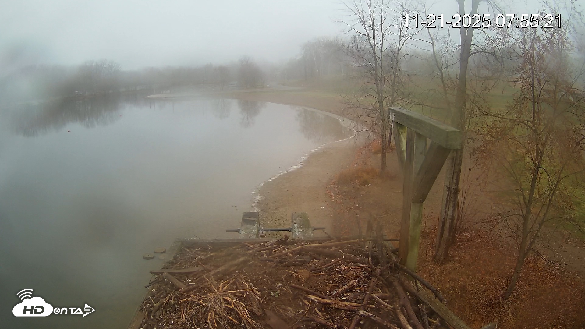 Snapshot of Pleasant Hill Lake Canada Geese Live Nest Cam taken Nov 21, 2025, 7:56am EST