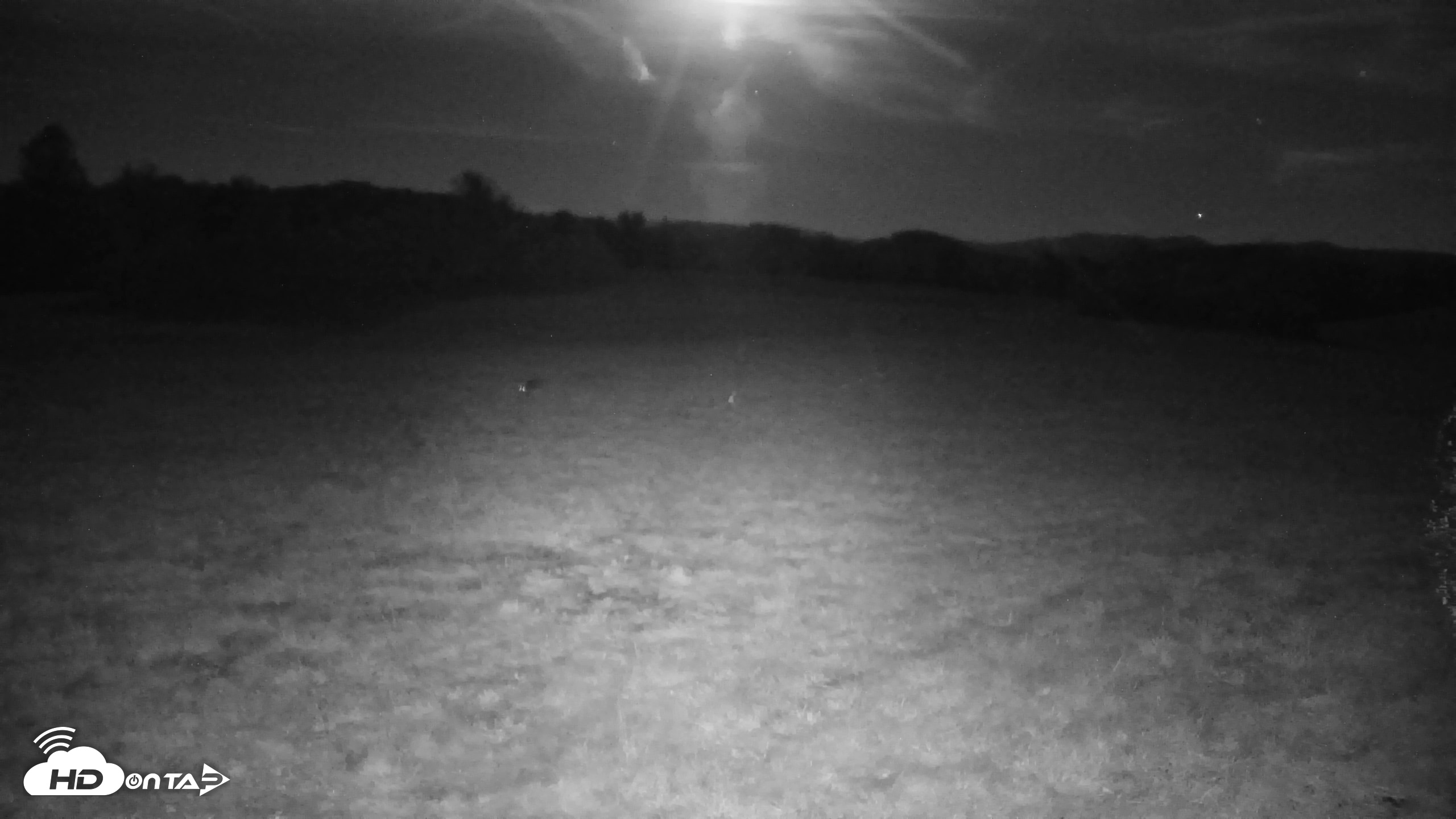 Snapshot of Tennessee Elk Live Webcam taken Oct 29, 2026, 10:45pm EDT