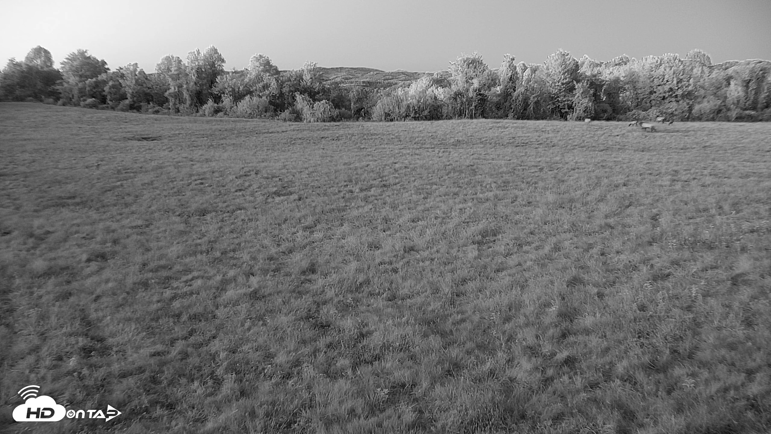 Snapshot of Tennessee Elk Live Webcam taken Oct 6, 2026, 7:35pm EDT