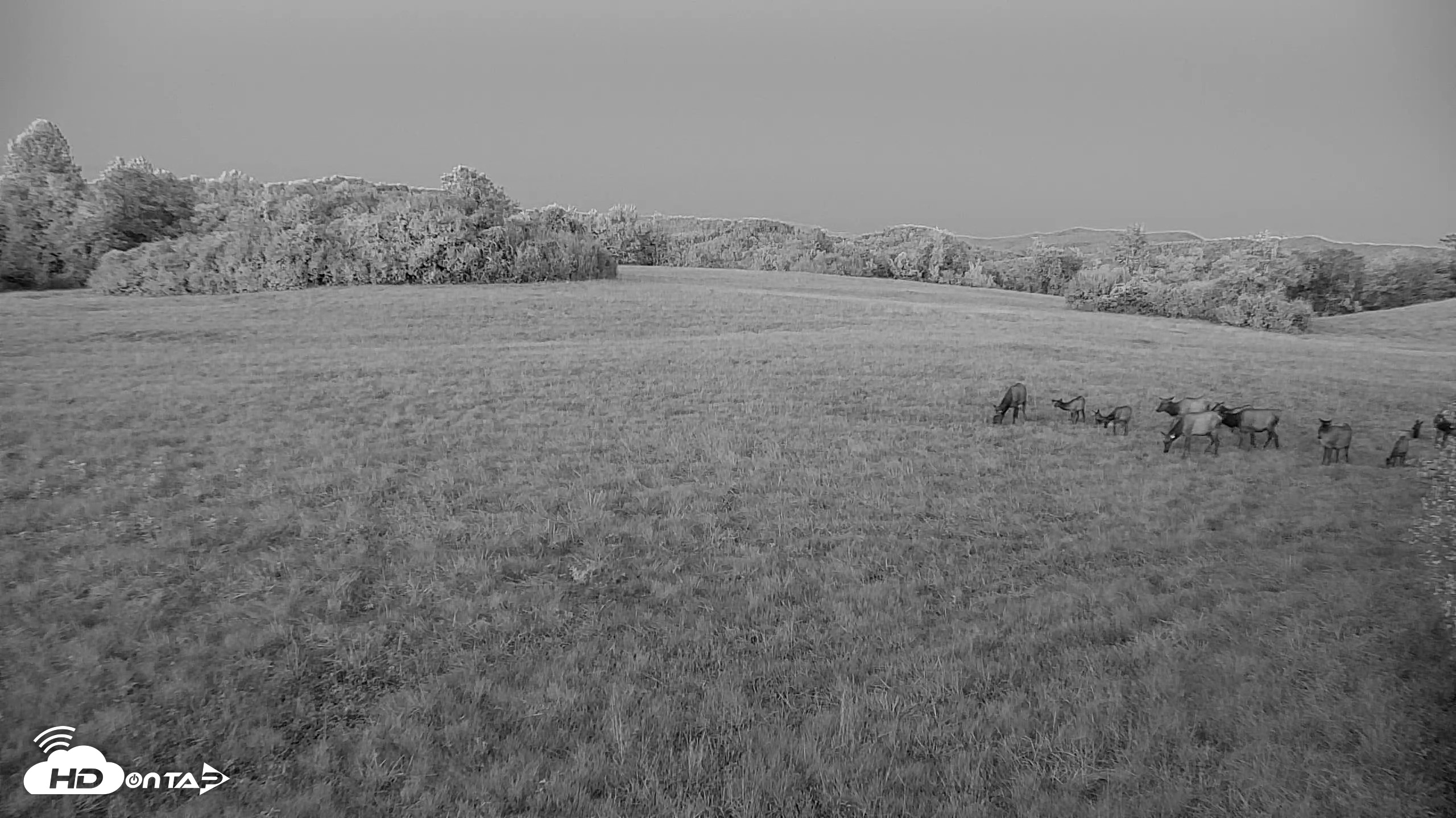 Snapshot of Tennessee Elk Live Webcam taken Oct 7, 2026, 7:28pm EDT