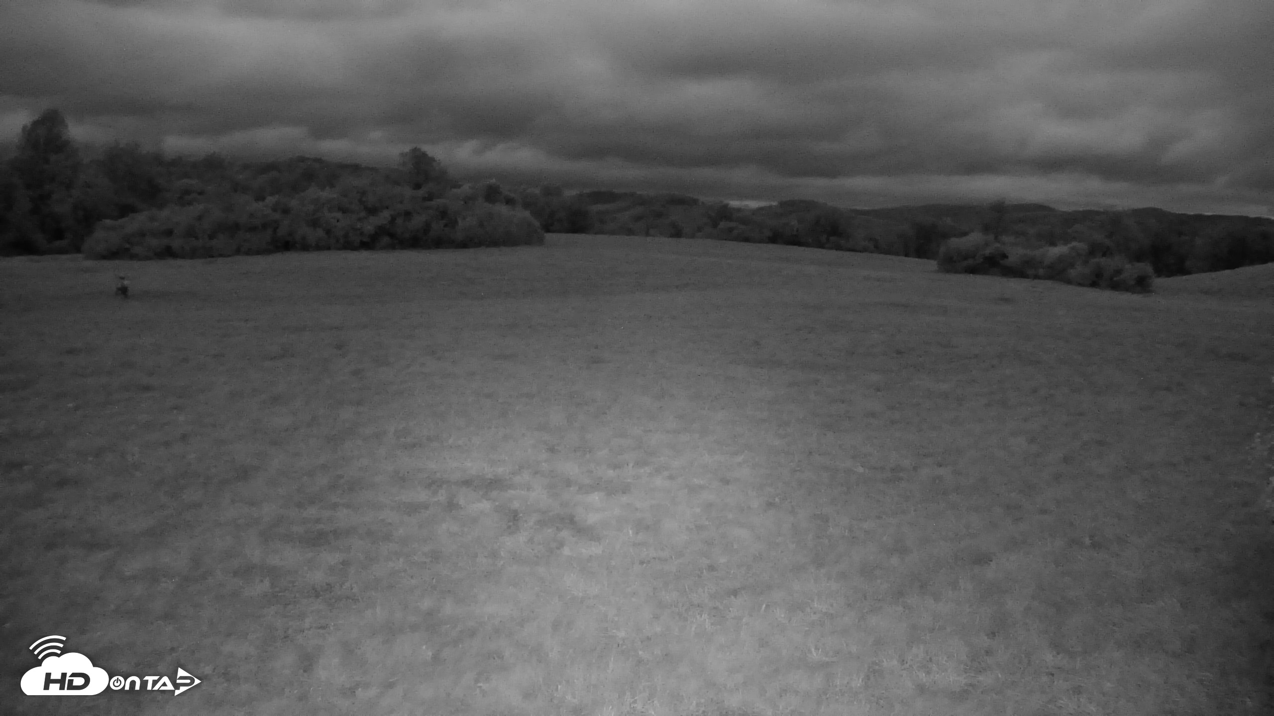 Snapshot of Tennessee Elk Live Webcam taken Oct 16, 2026, 7:30pm EDT