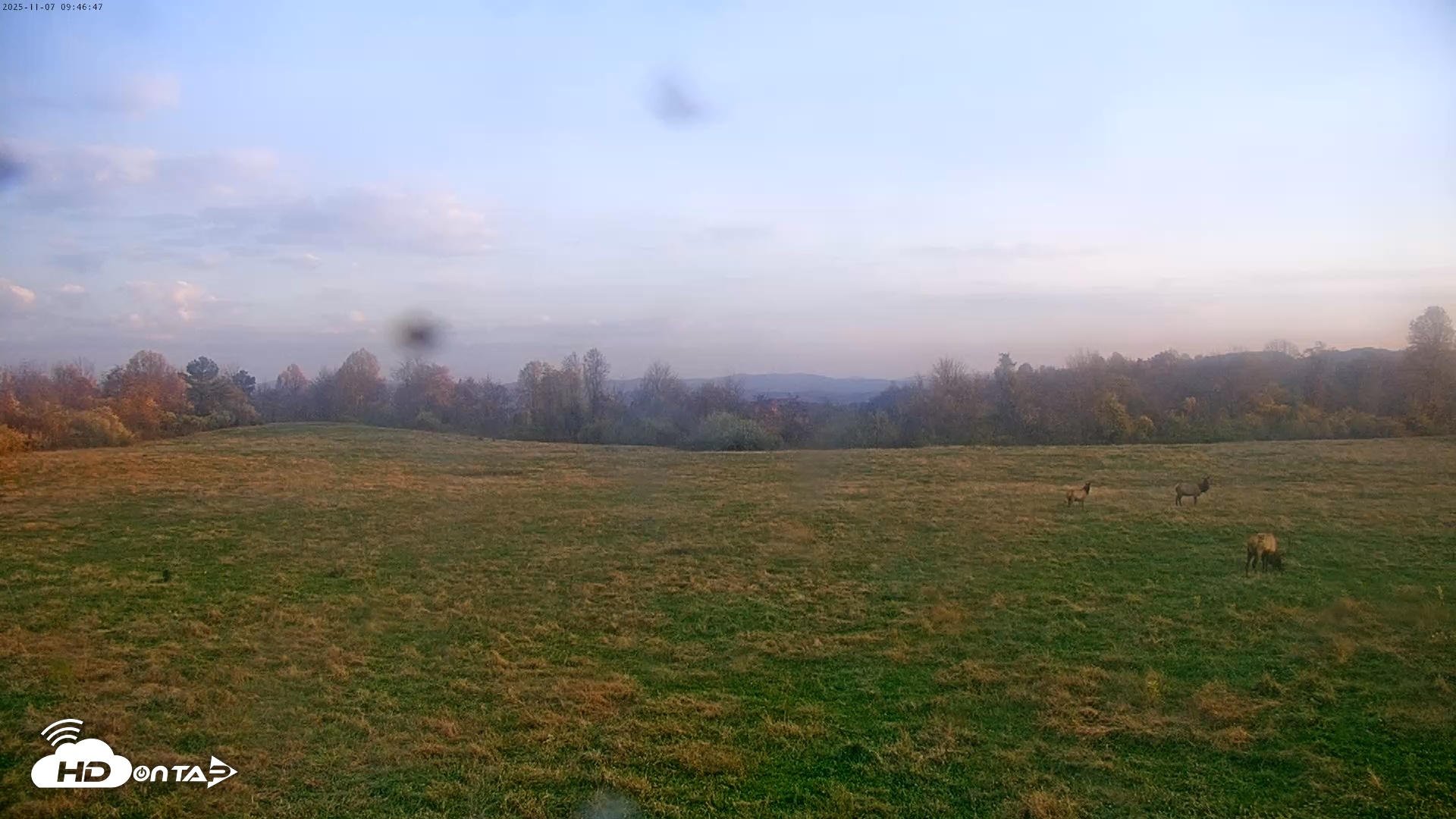 Snapshot of Tennessee Elk Live Webcam taken Nov 7, 2025, 7:22am EST