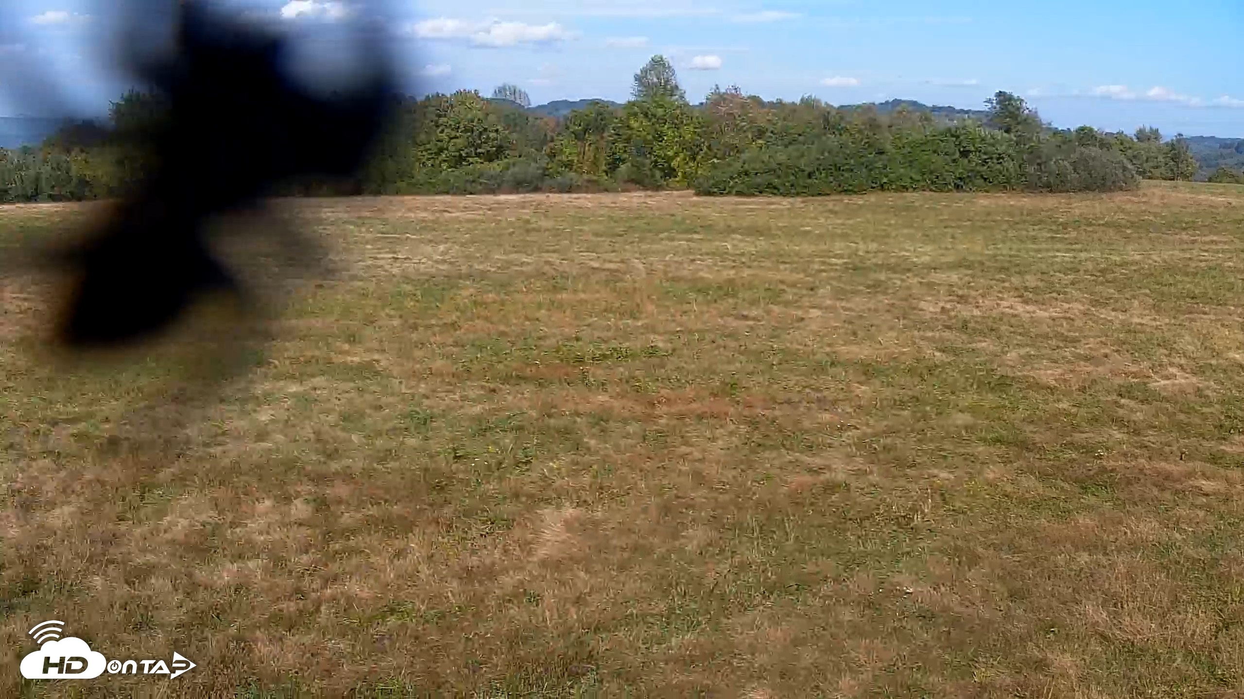 Snapshot of Tennessee Elk Live Webcam taken Oct 14, 2026, 4:00pm EDT