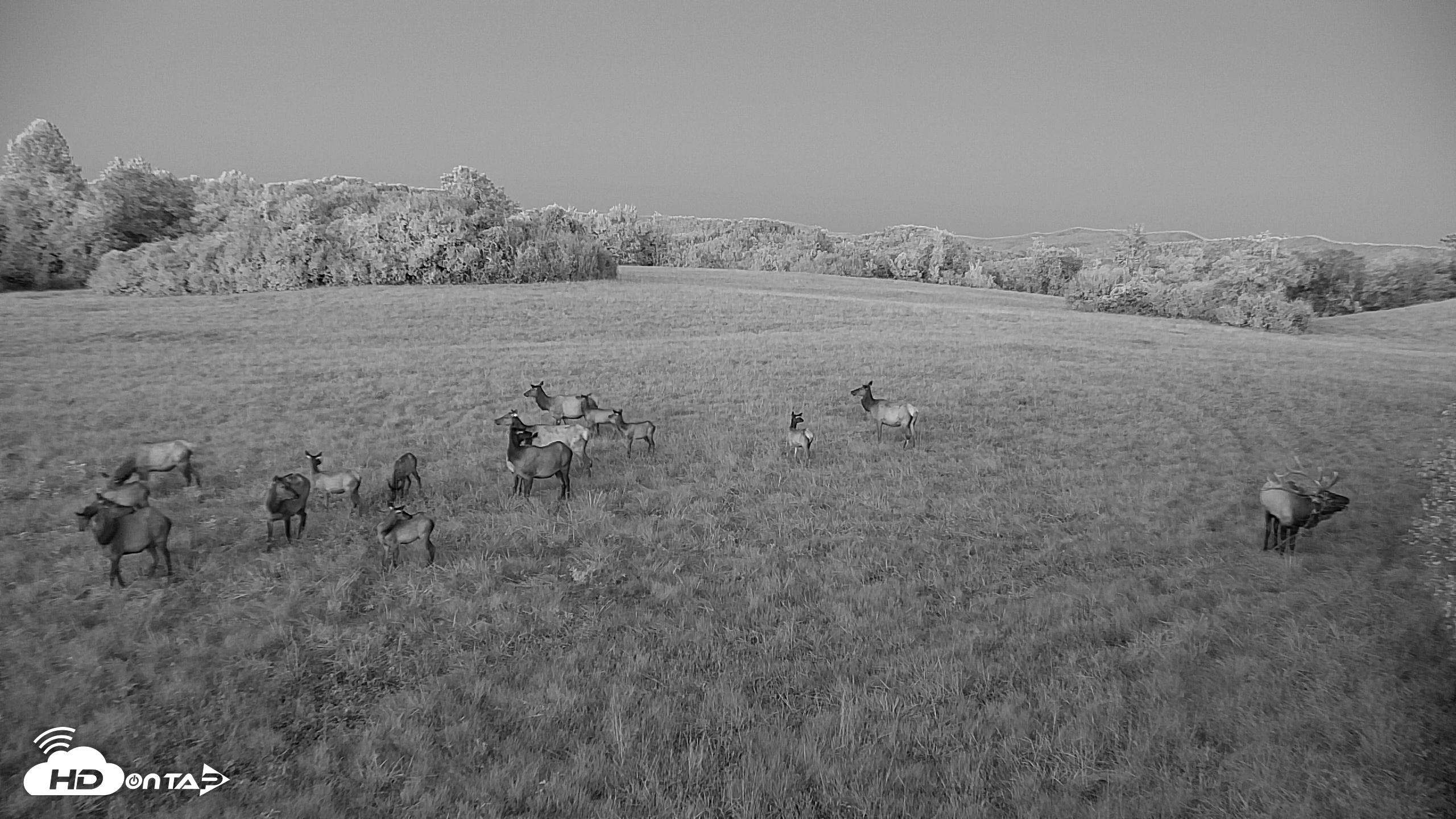 Snapshot of Tennessee Elk Live Webcam taken Oct 7, 2026, 7:31pm EDT