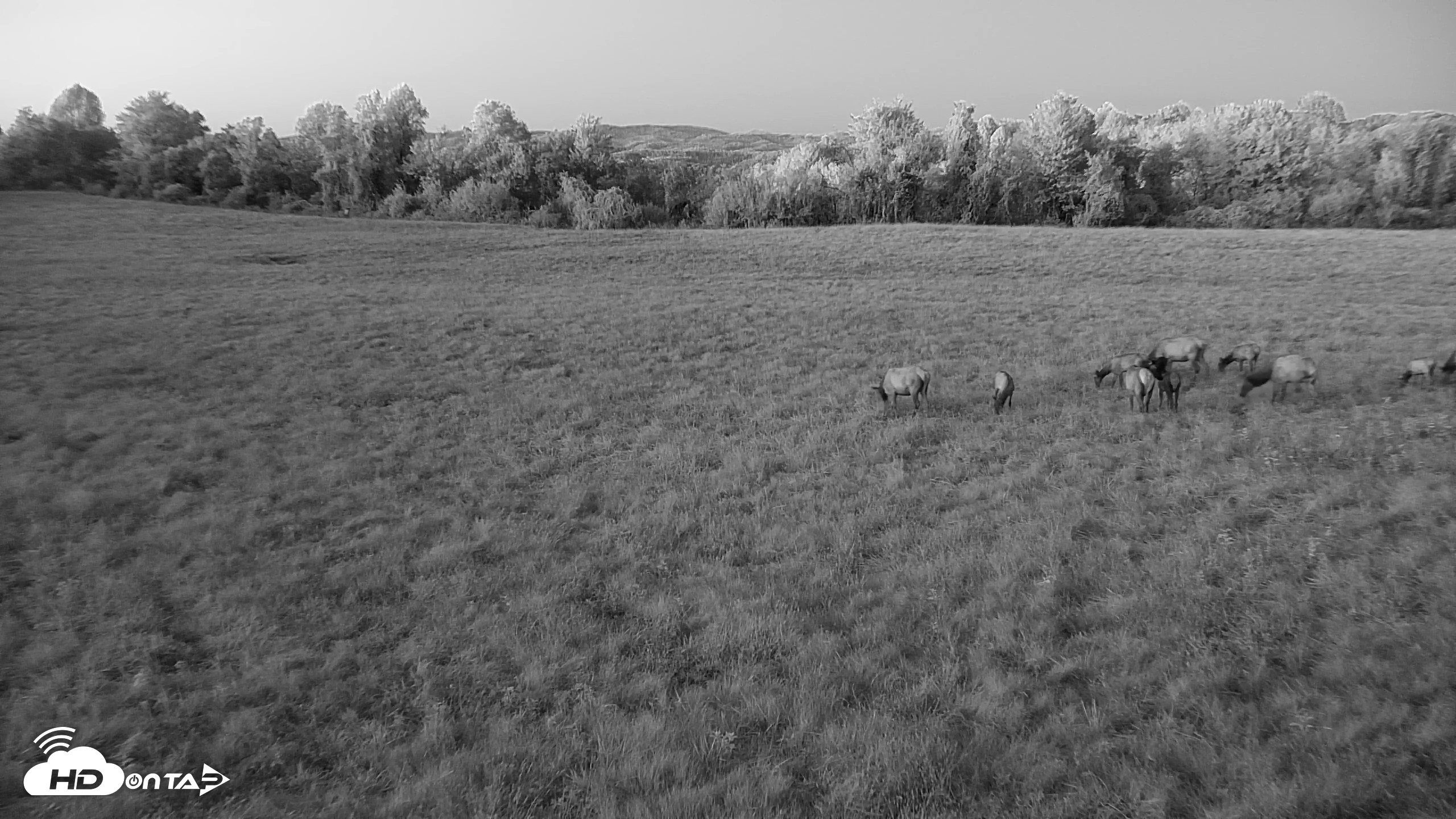 Snapshot of Tennessee Elk Live Webcam taken Oct 7, 2026, 7:36pm EDT