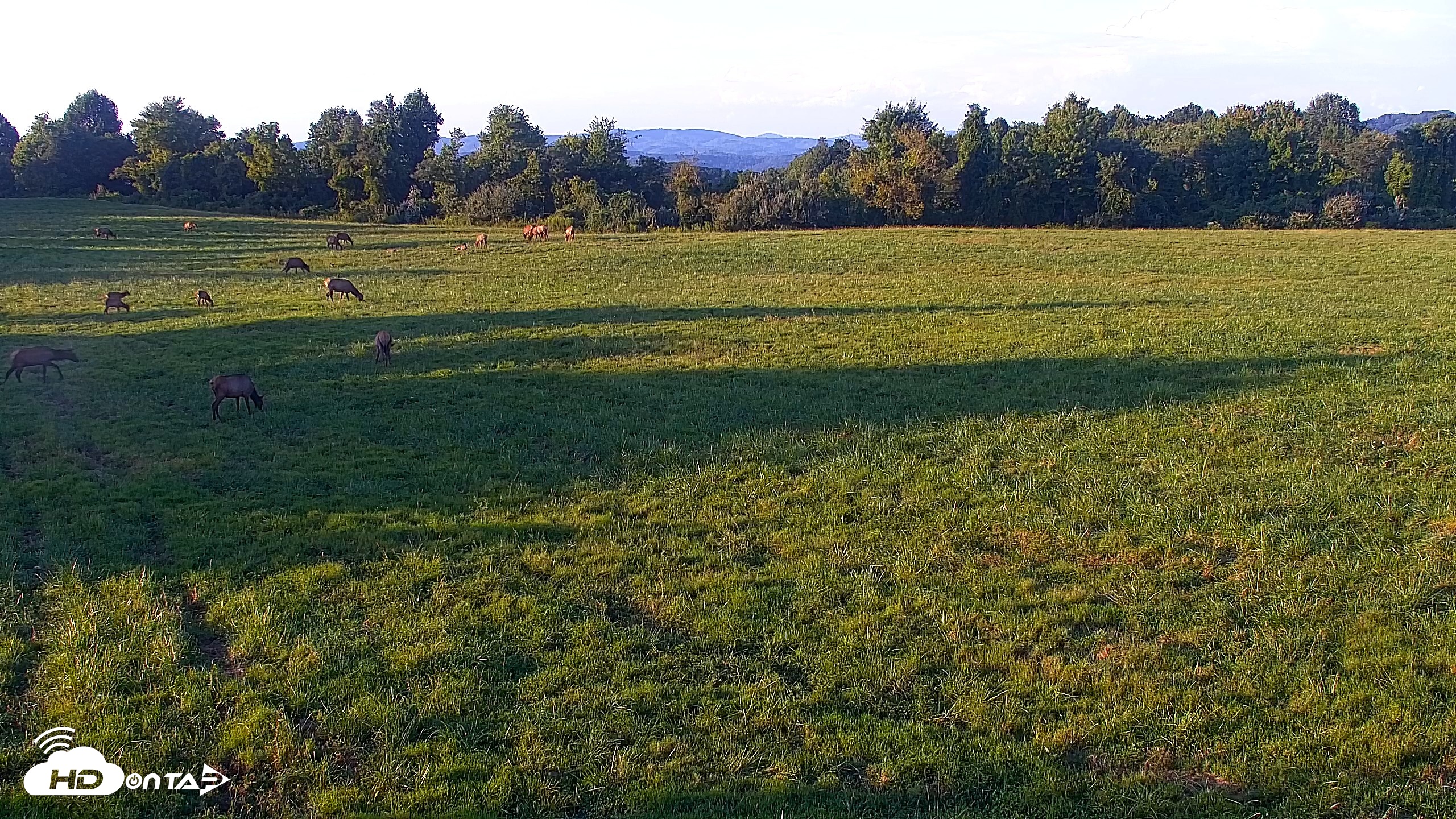 Snapshot of Tennessee Elk Live Webcam taken Aug 27, 2026, 7:23pm EDT