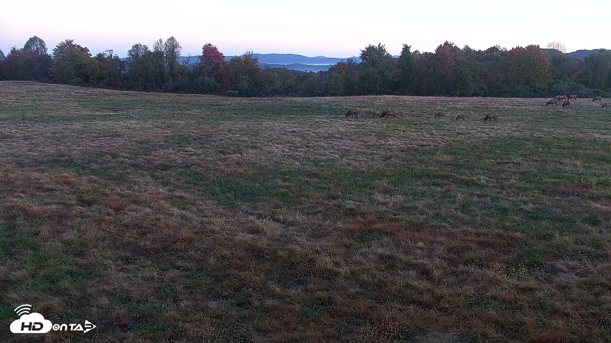 Snapshot of Tennessee Elk Live Webcam taken Oct 26, 2026, 7:50am EDT