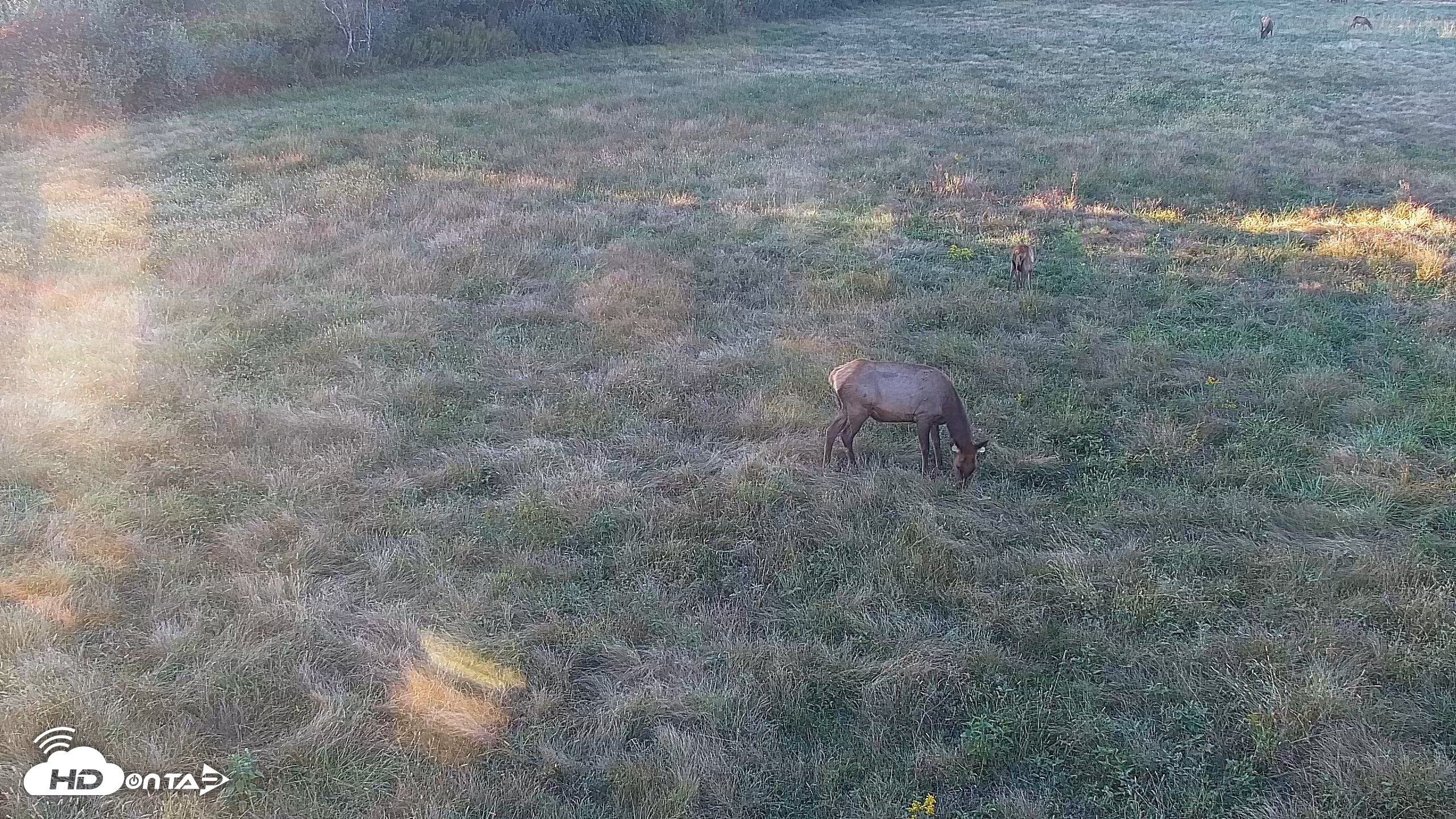 Snapshot of Tennessee Elk Live Webcam taken Oct 8, 2026, 6:33pm EDT