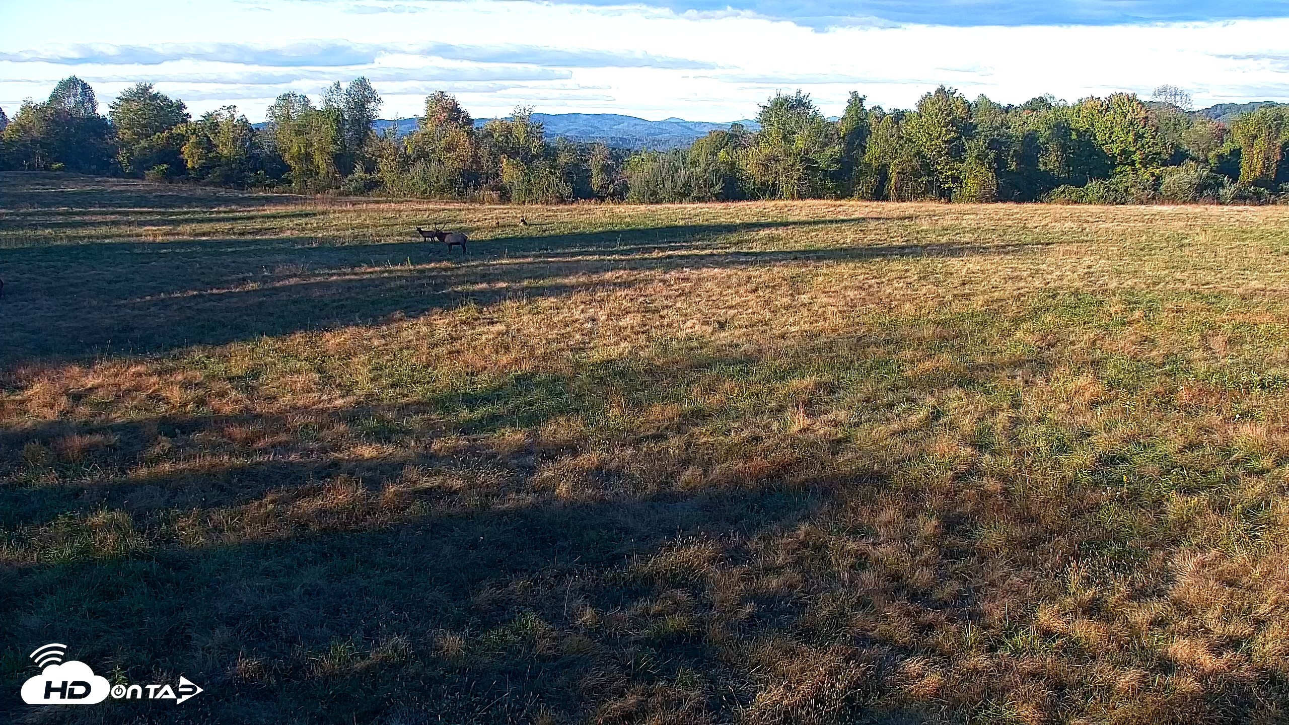 Snapshot of Tennessee Elk Live Webcam taken Oct 17, 2026, 6:14pm EDT