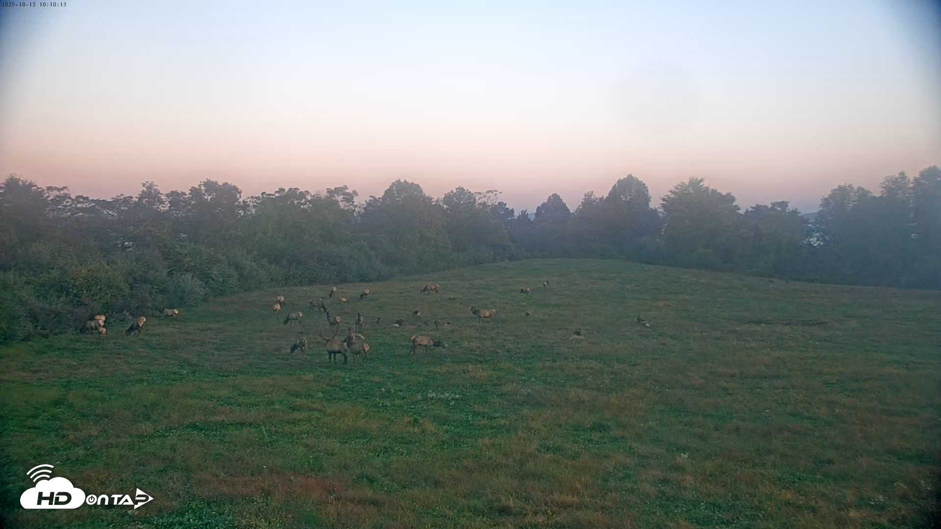 Snapshot of Tennessee Elk Live Webcam taken Oct 13, 2025, 7:46am EDT