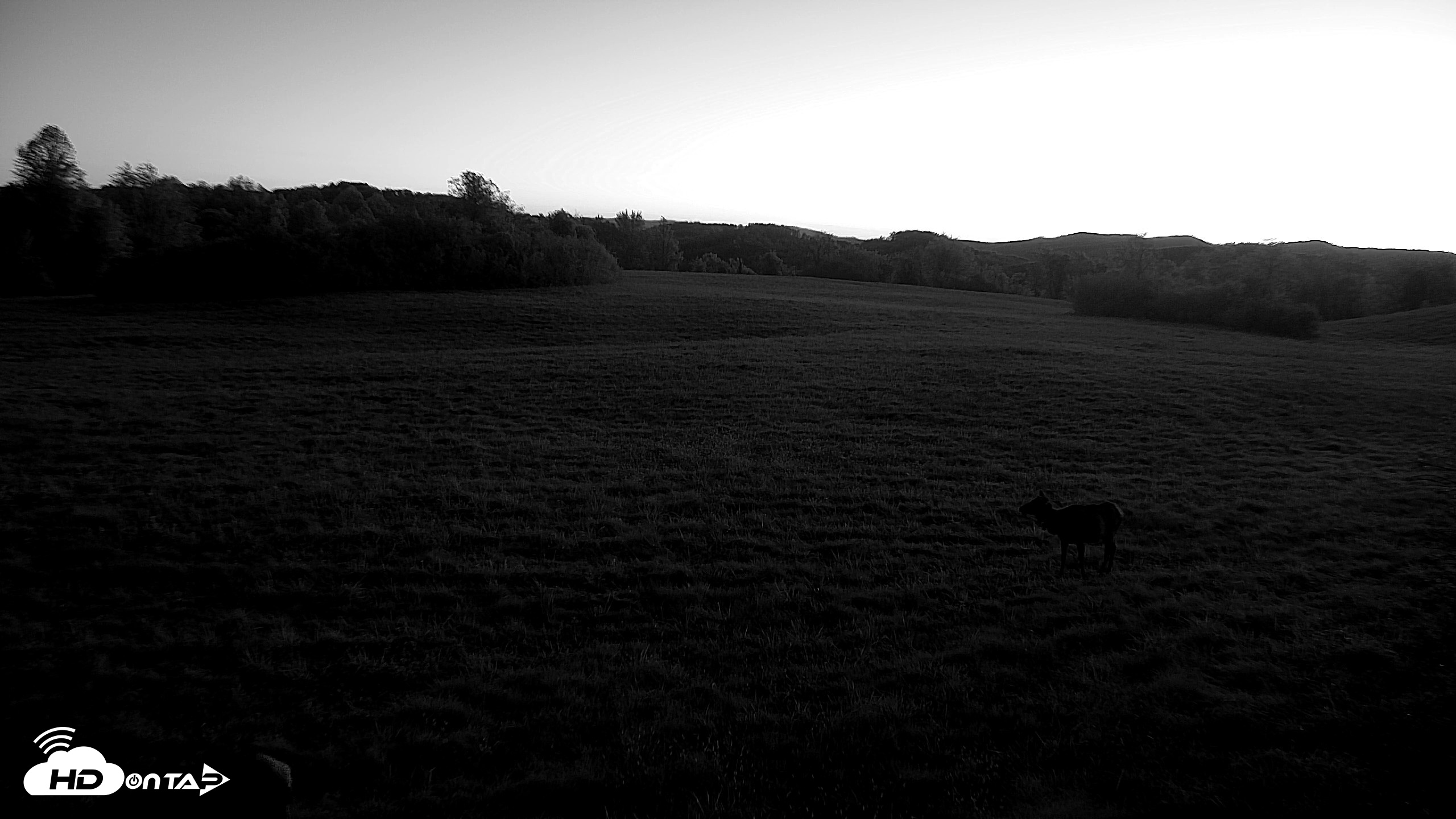 Snapshot of Tennessee Elk Live Webcam taken Oct 22, 2026, 7:29am EDT