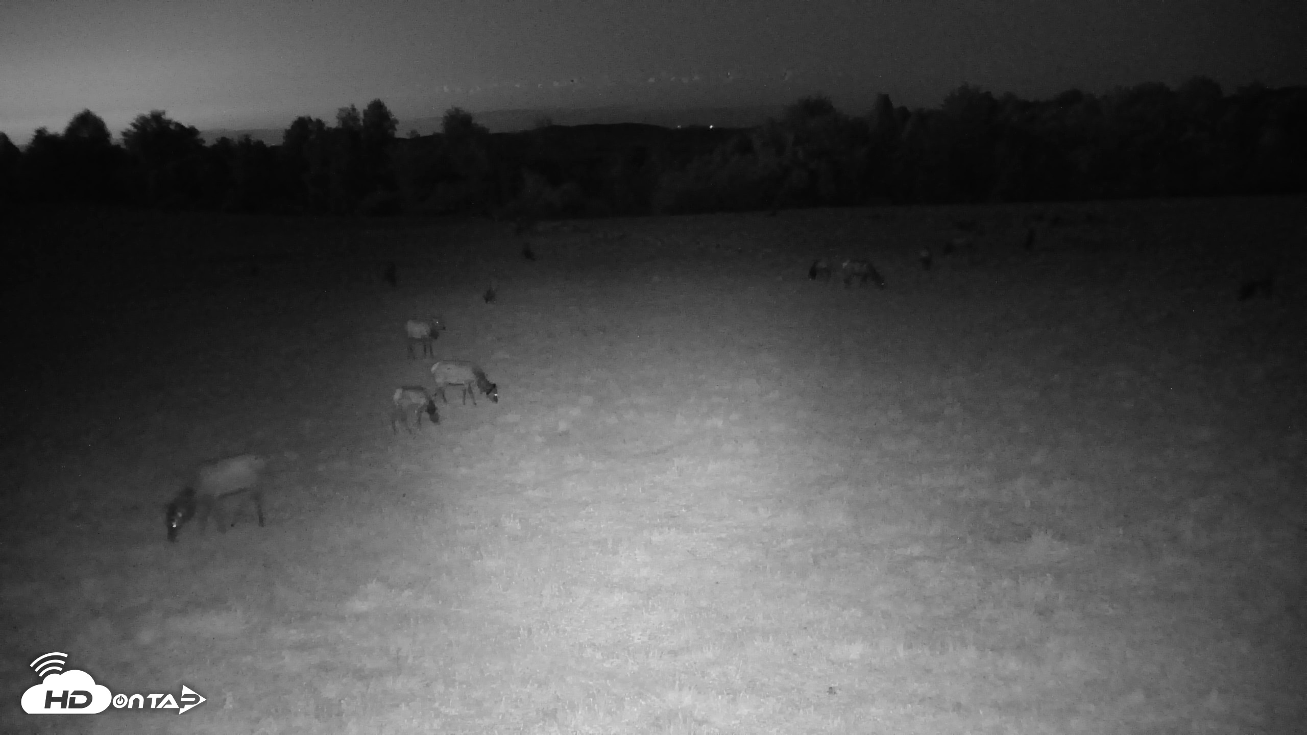 Snapshot of Tennessee Elk Live Webcam taken Apr 19, 2026, 9:05pm EDT