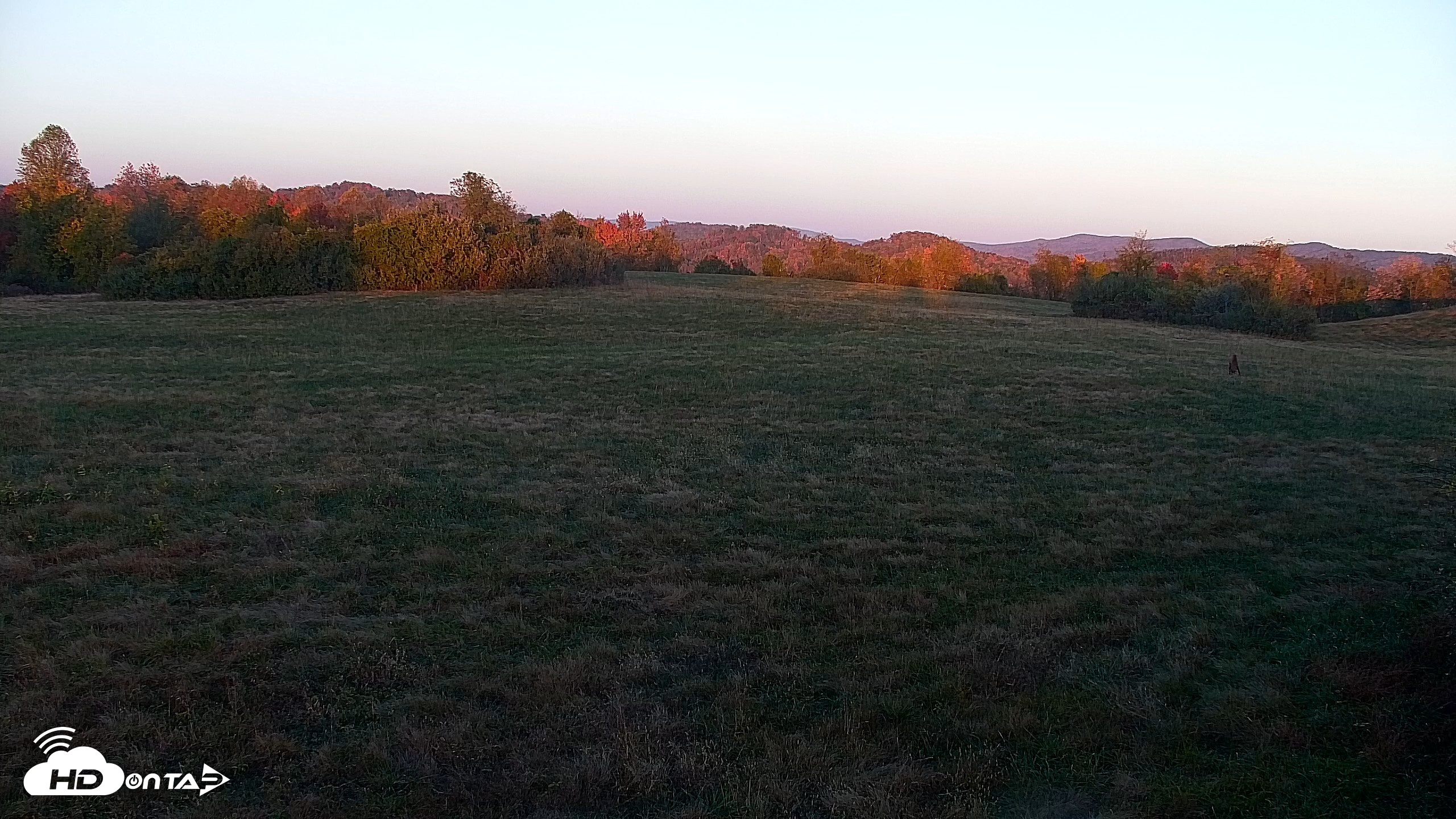 Snapshot of Tennessee Elk Live Webcam taken Oct 29, 2026, 6:32pm EDT