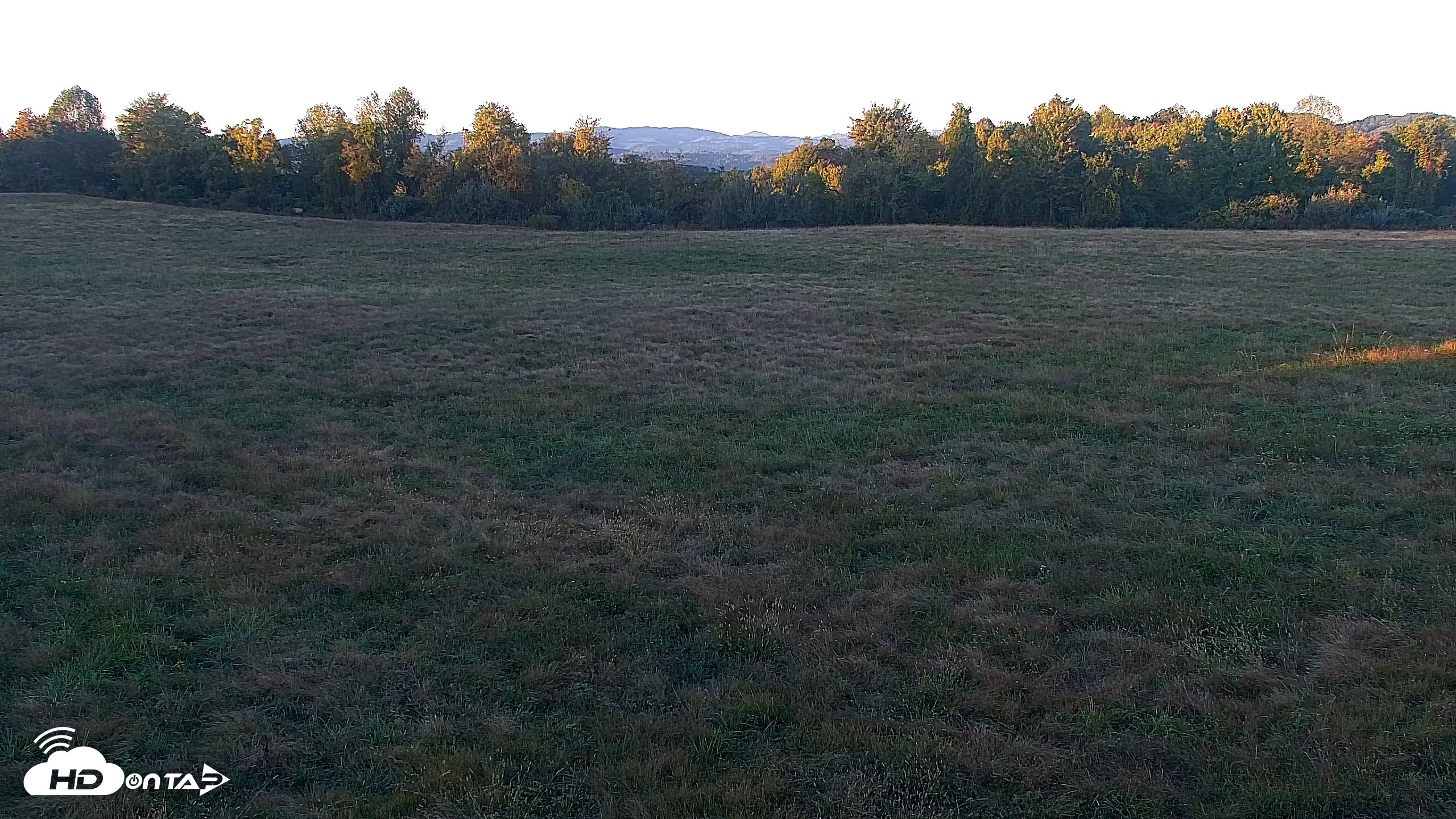 Snapshot of Tennessee Elk Live Webcam taken Oct 6, 2026, 6:56pm EDT
