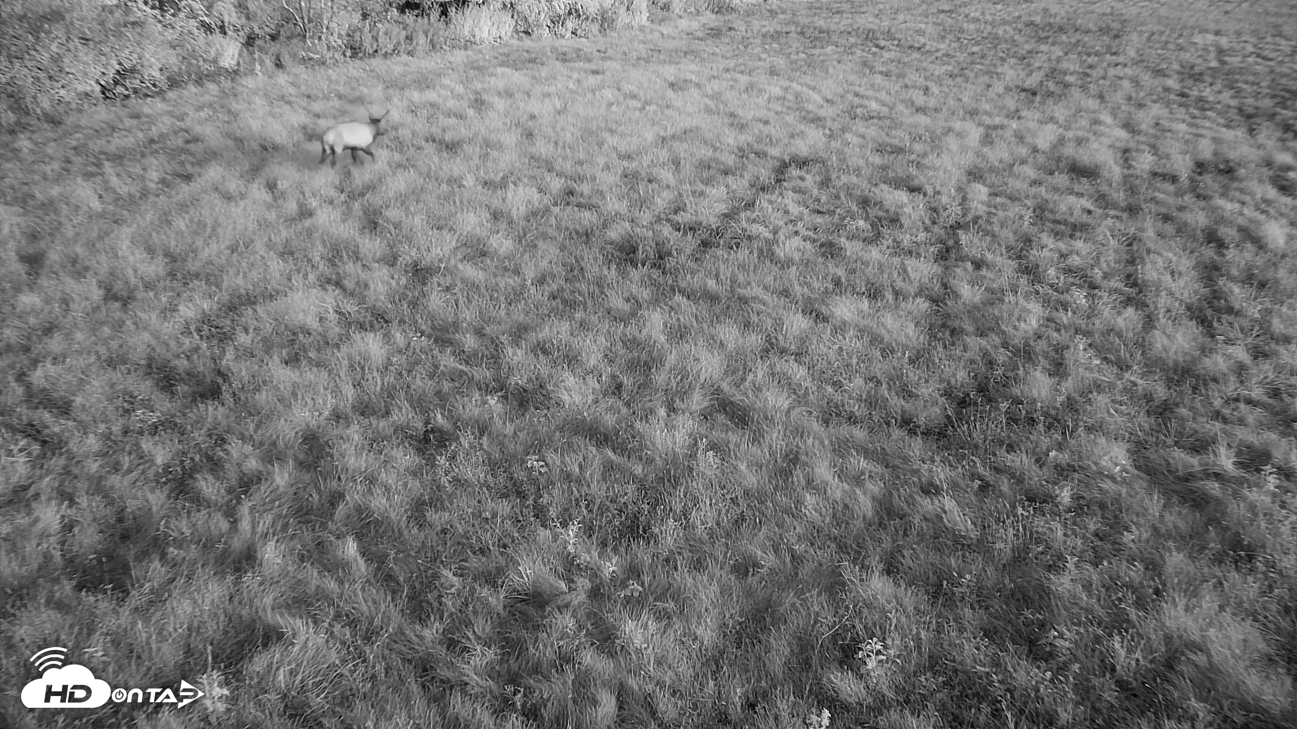 Snapshot of Tennessee Elk Live Webcam taken Oct 6, 2026, 7:13am EDT