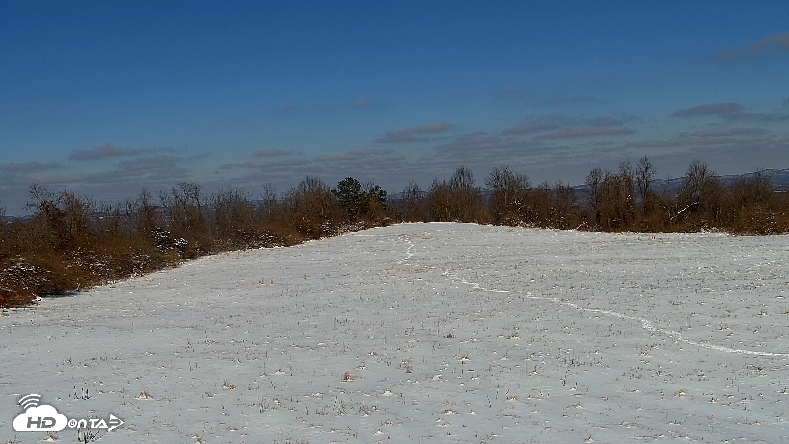 Snapshot of Tennessee Elk Live Webcam taken Feb 1, 2026, 11:57am EST