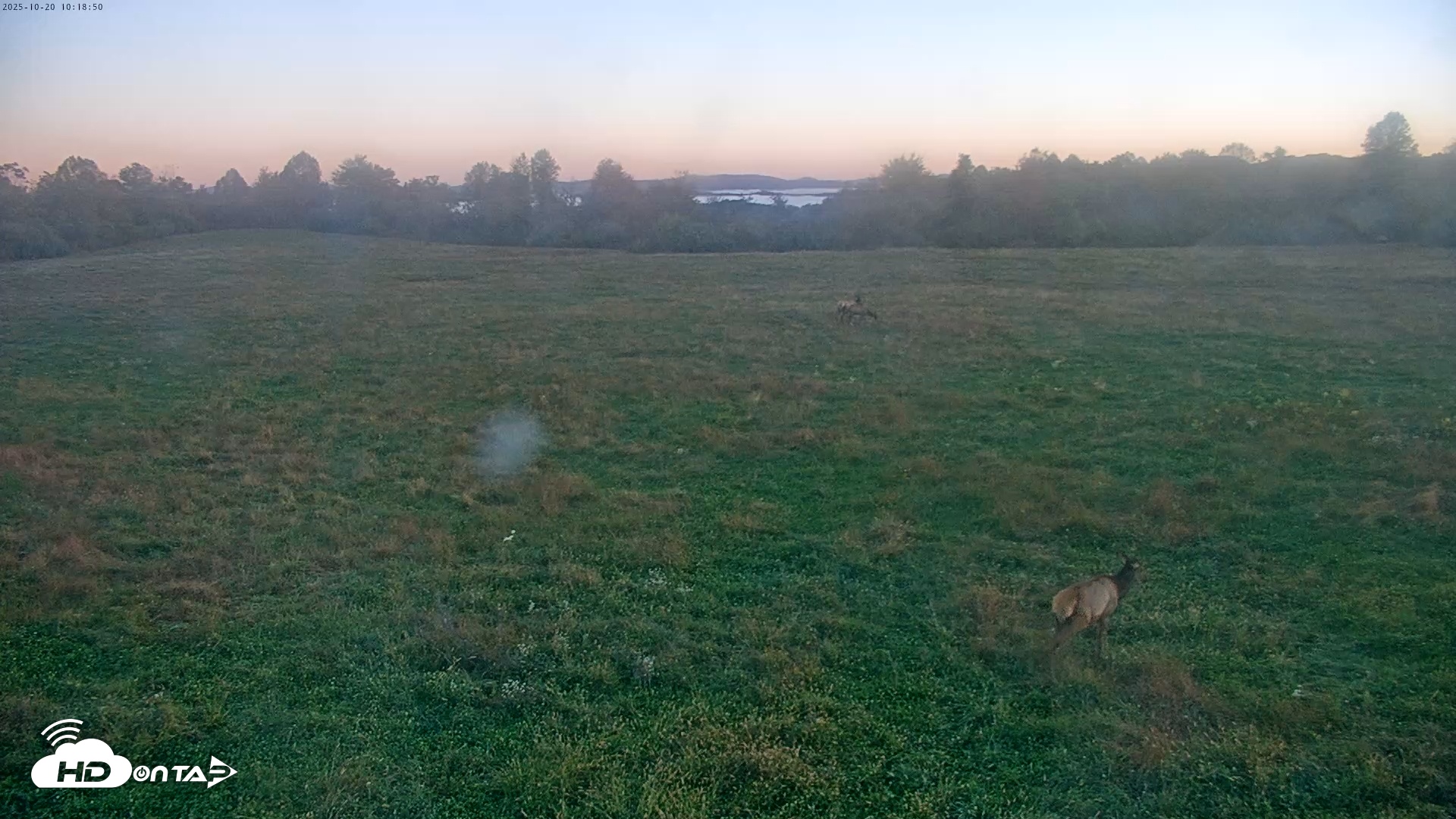 Snapshot of Tennessee Elk Live Webcam taken Oct 20, 2025, 7:57am EDT