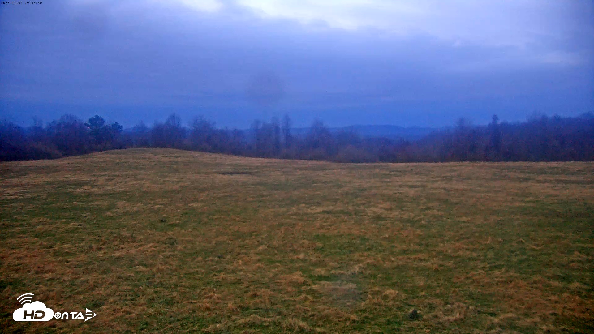 Snapshot of Tennessee Elk Live Webcam taken Dec 7, 2025, 5:35pm EST