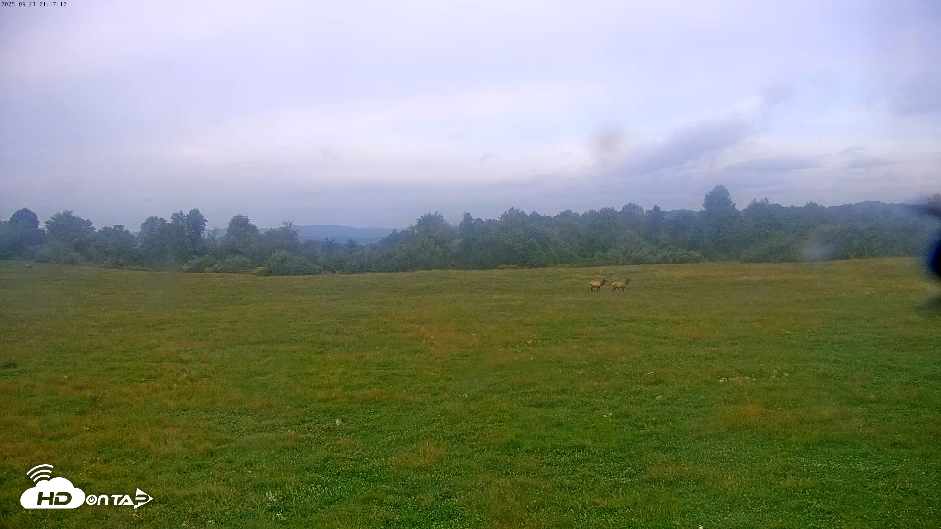 Snapshot of Tennessee Elk Live Webcam taken Sep 23, 2025, 6:53pm EDT