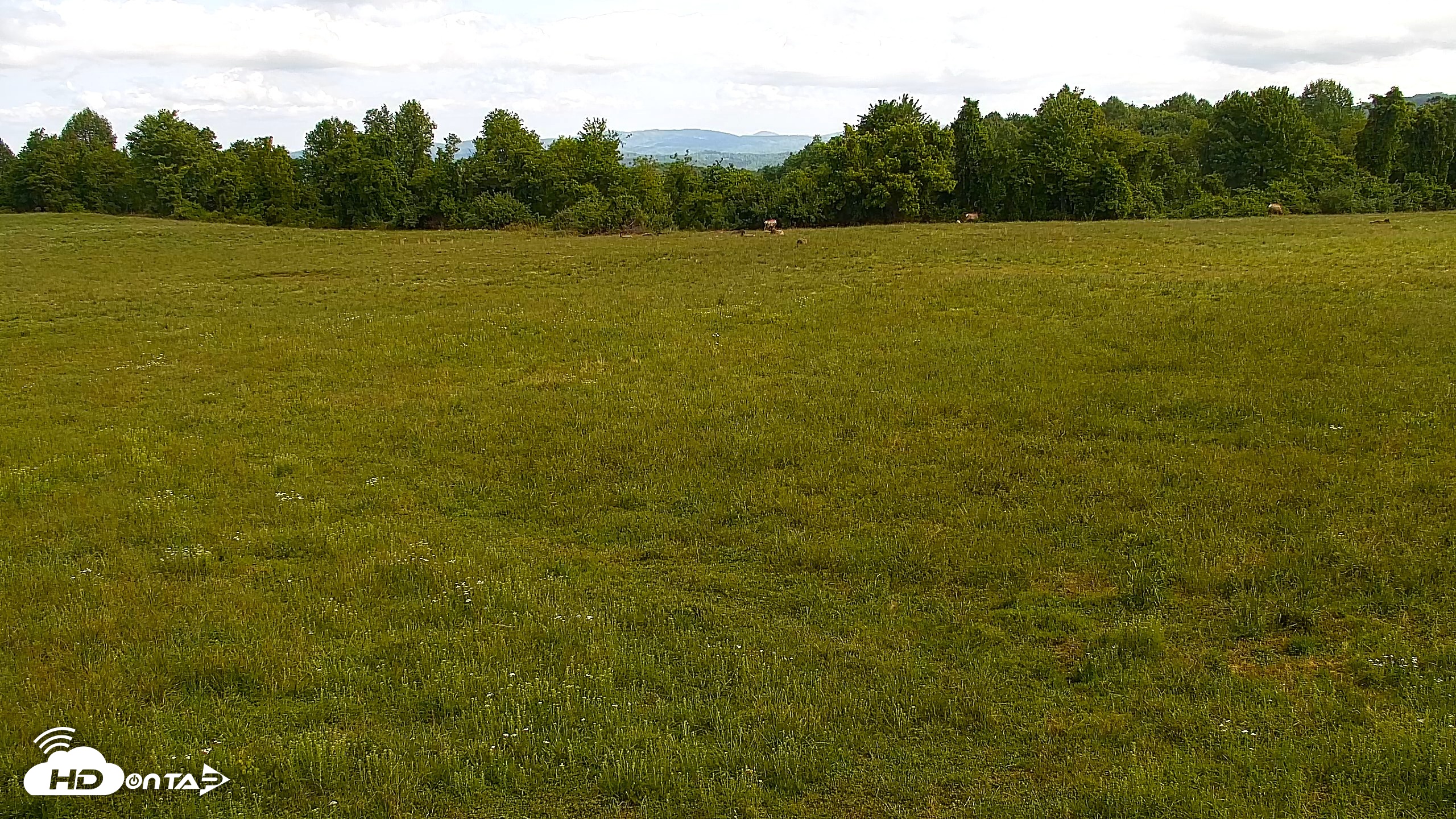 Snapshot of Tennessee Elk Live Webcam taken May 7, 2026, 10:41am EDT