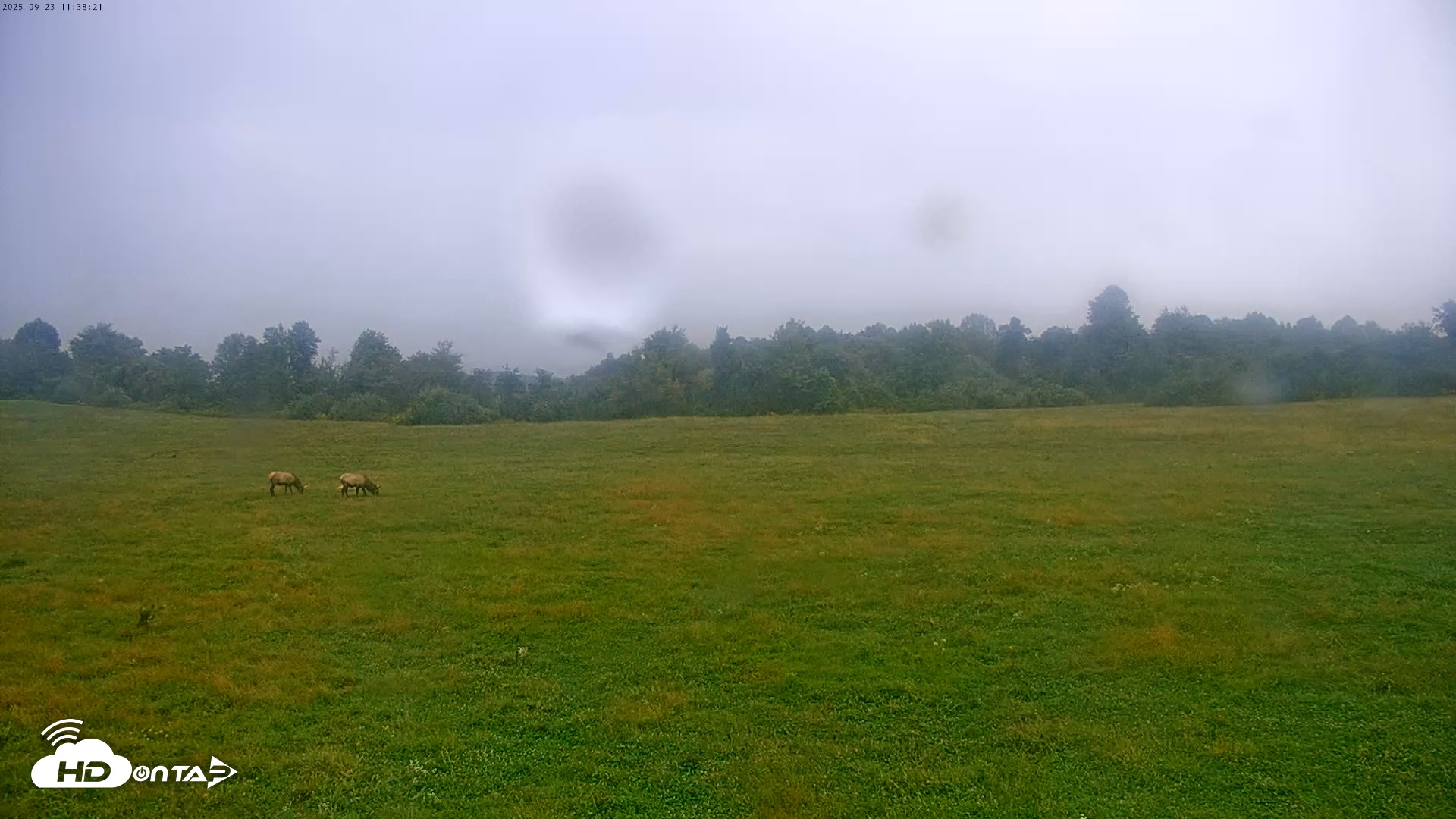 Snapshot of Tennessee Elk Live Webcam taken Sep 23, 2025, 9:14am EDT