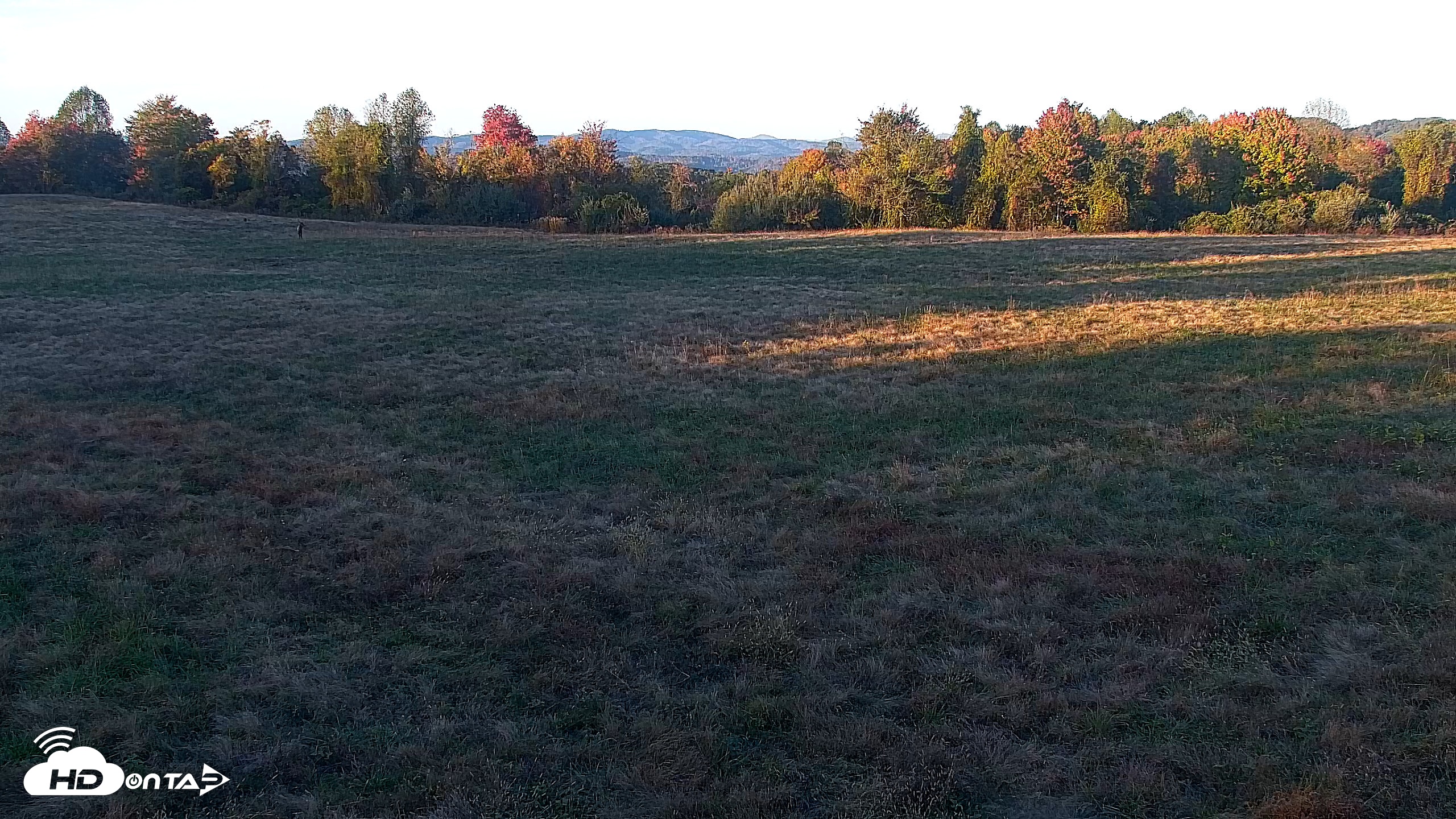 Snapshot of Tennessee Elk Live Webcam taken Oct 24, 2026, 6:22pm EDT