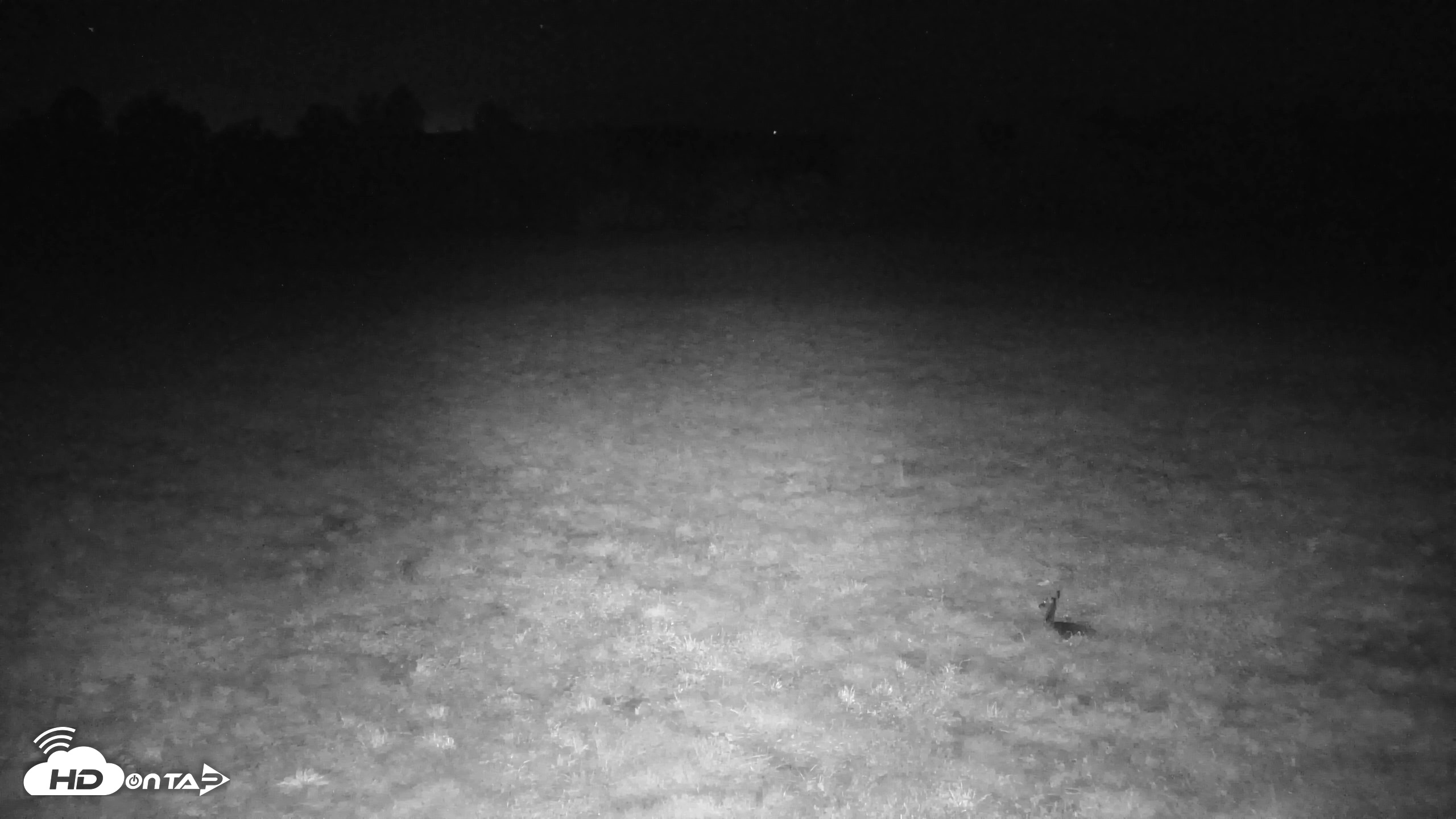 Snapshot of Tennessee Elk Live Webcam taken Oct 7, 2026, 12:28am EDT