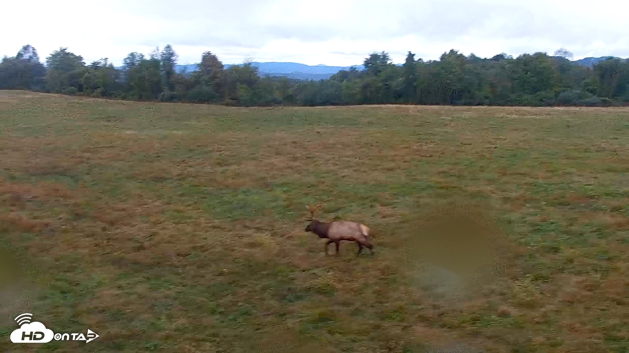 Snapshot of Tennessee Elk Live Webcam taken Oct 17, 2026, 8:35am EDT