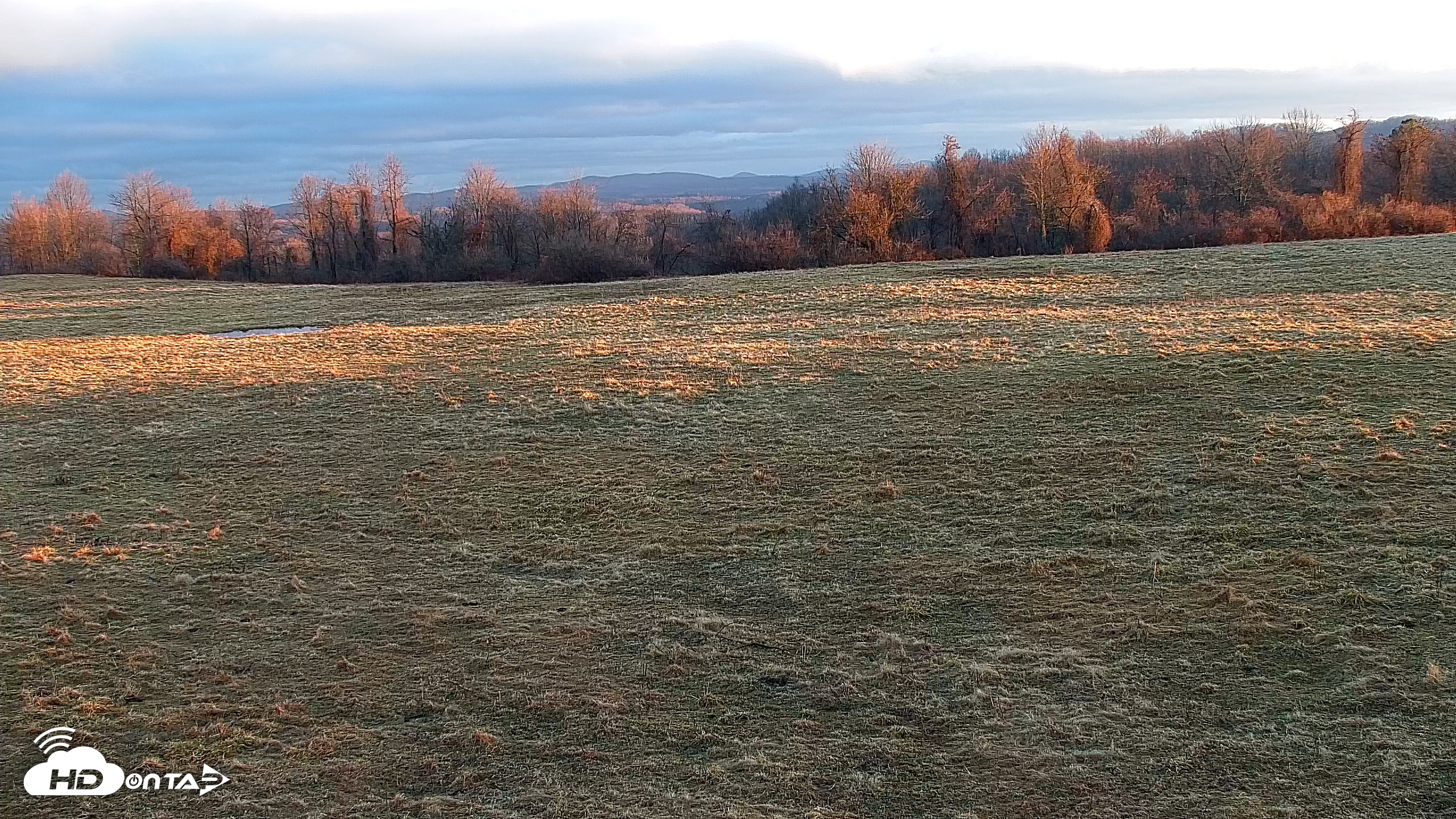 Snapshot of Tennessee Elk Live Webcam taken Feb 16, 2026, 7:39am EST