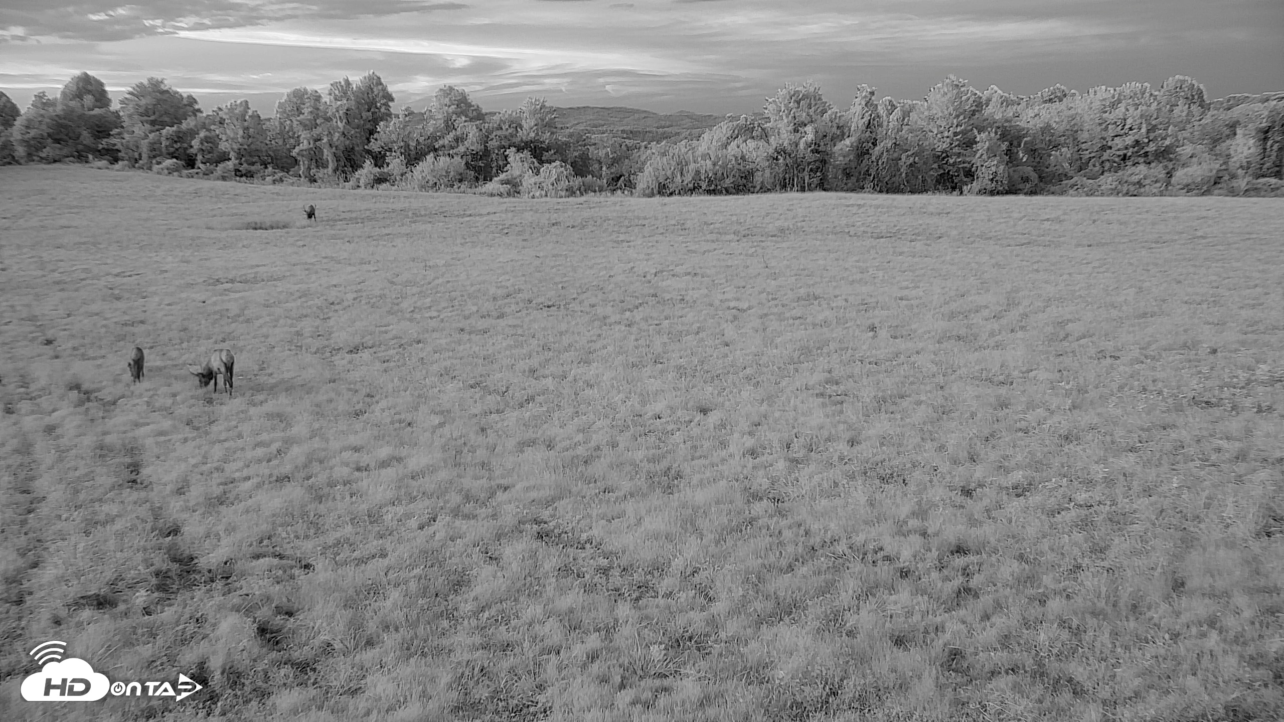 Snapshot of Tennessee Elk Live Webcam taken Sep 8, 2026, 8:07pm EDT