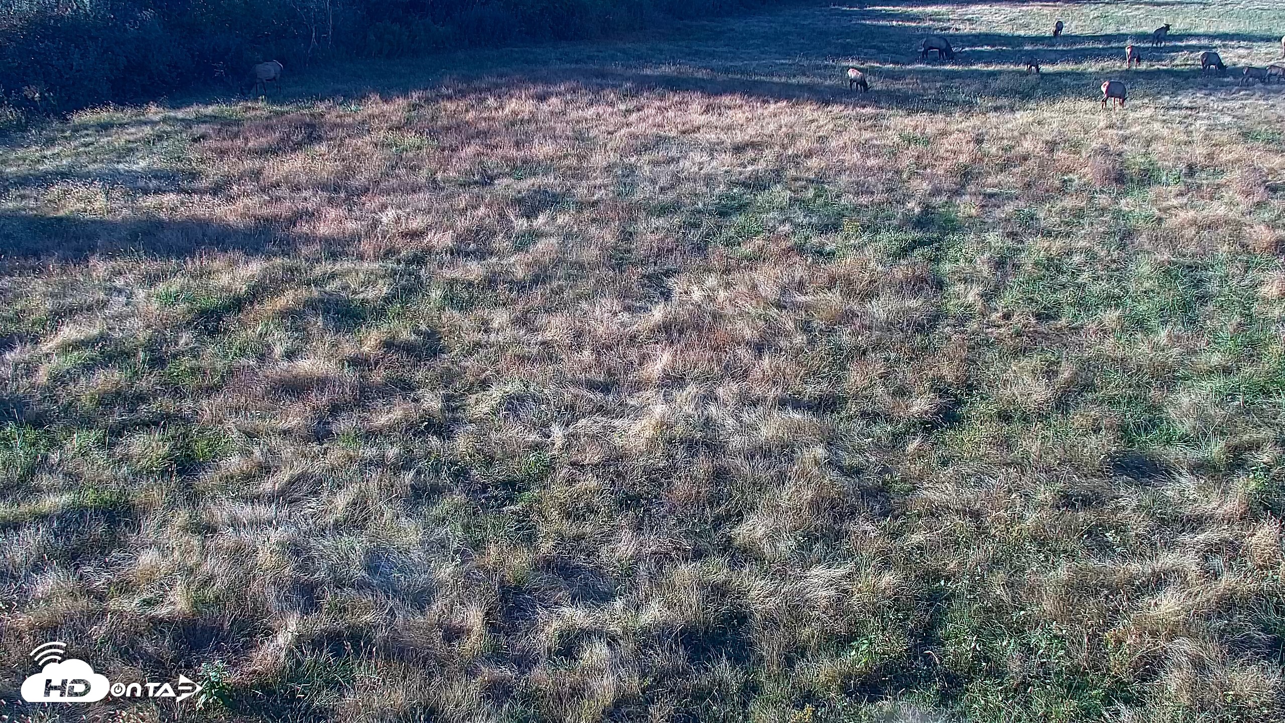 Snapshot of Tennessee Elk Live Webcam taken Oct 22, 2026, 5:29pm EDT