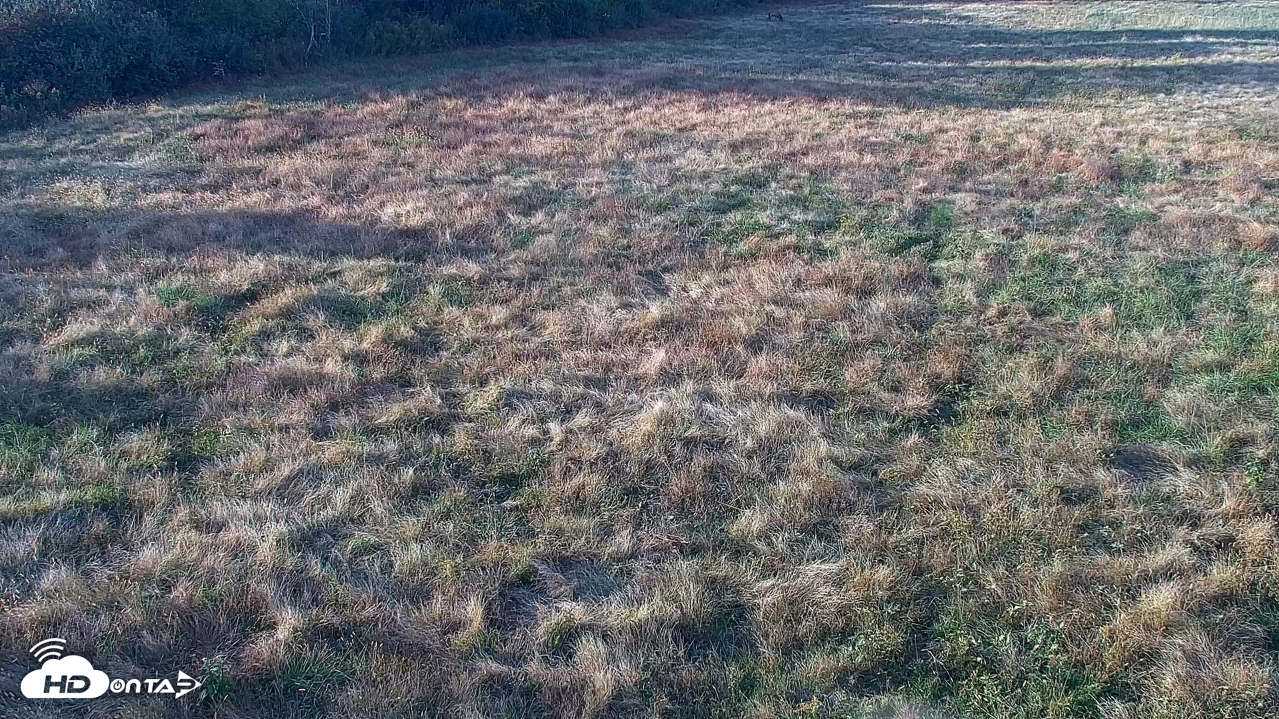 Snapshot of Tennessee Elk Live Webcam taken Oct 26, 2026, 5:29pm EDT