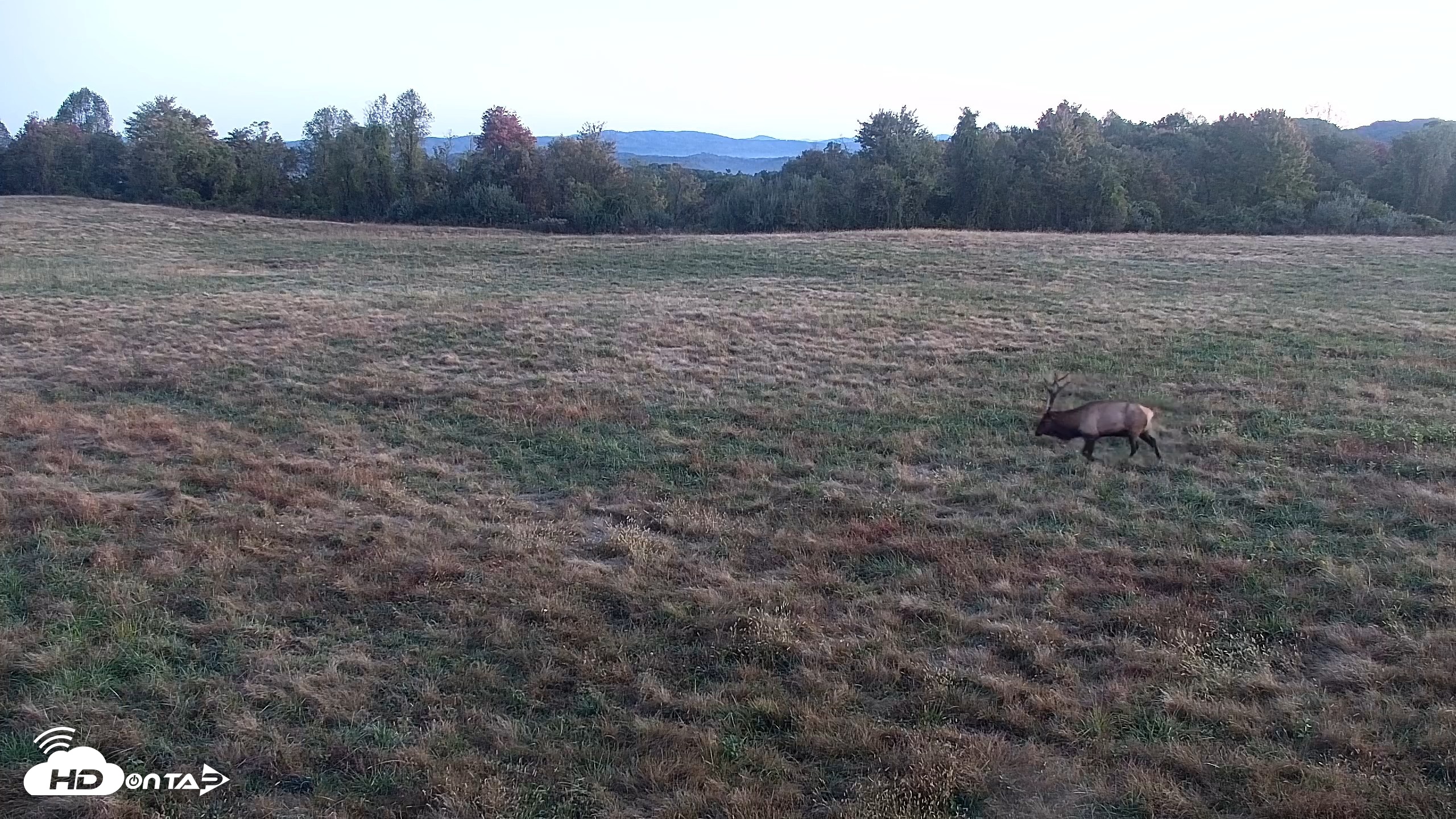 Snapshot of Tennessee Elk Live Webcam taken Oct 22, 2026, 7:35am EDT