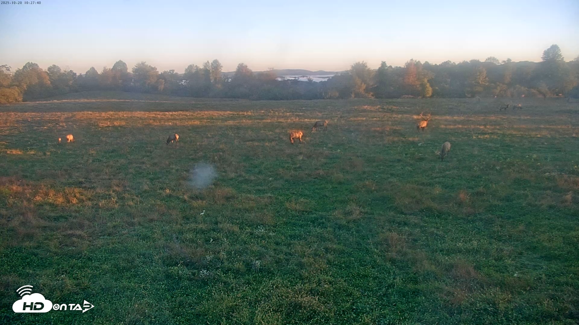 Snapshot of Tennessee Elk Live Webcam taken Oct 20, 2025, 8:04am EDT