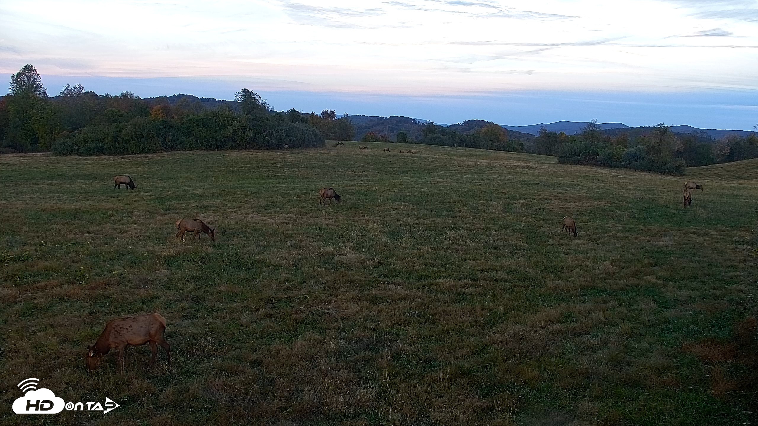Snapshot of Tennessee Elk Live Webcam taken Oct 26, 2026, 6:40pm EDT