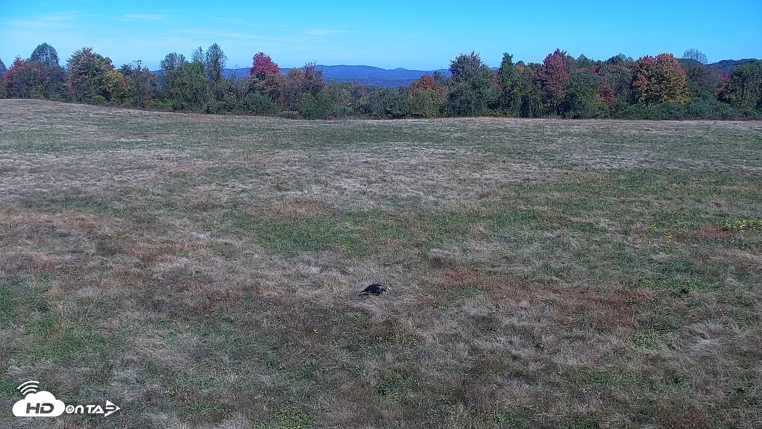 Snapshot of Tennessee Elk Live Webcam taken Oct 27, 2026, 12:59pm EDT