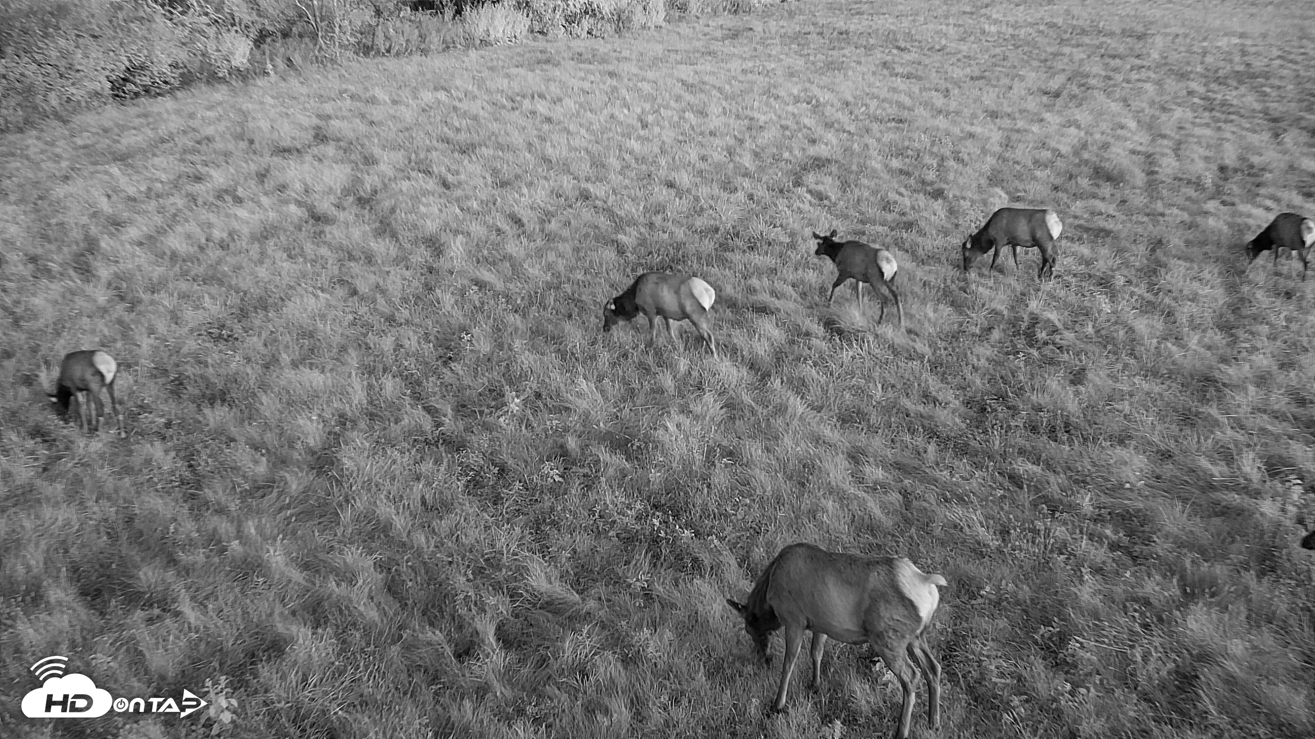 Snapshot of Tennessee Elk Live Webcam taken Oct 22, 2026, 7:32am EDT