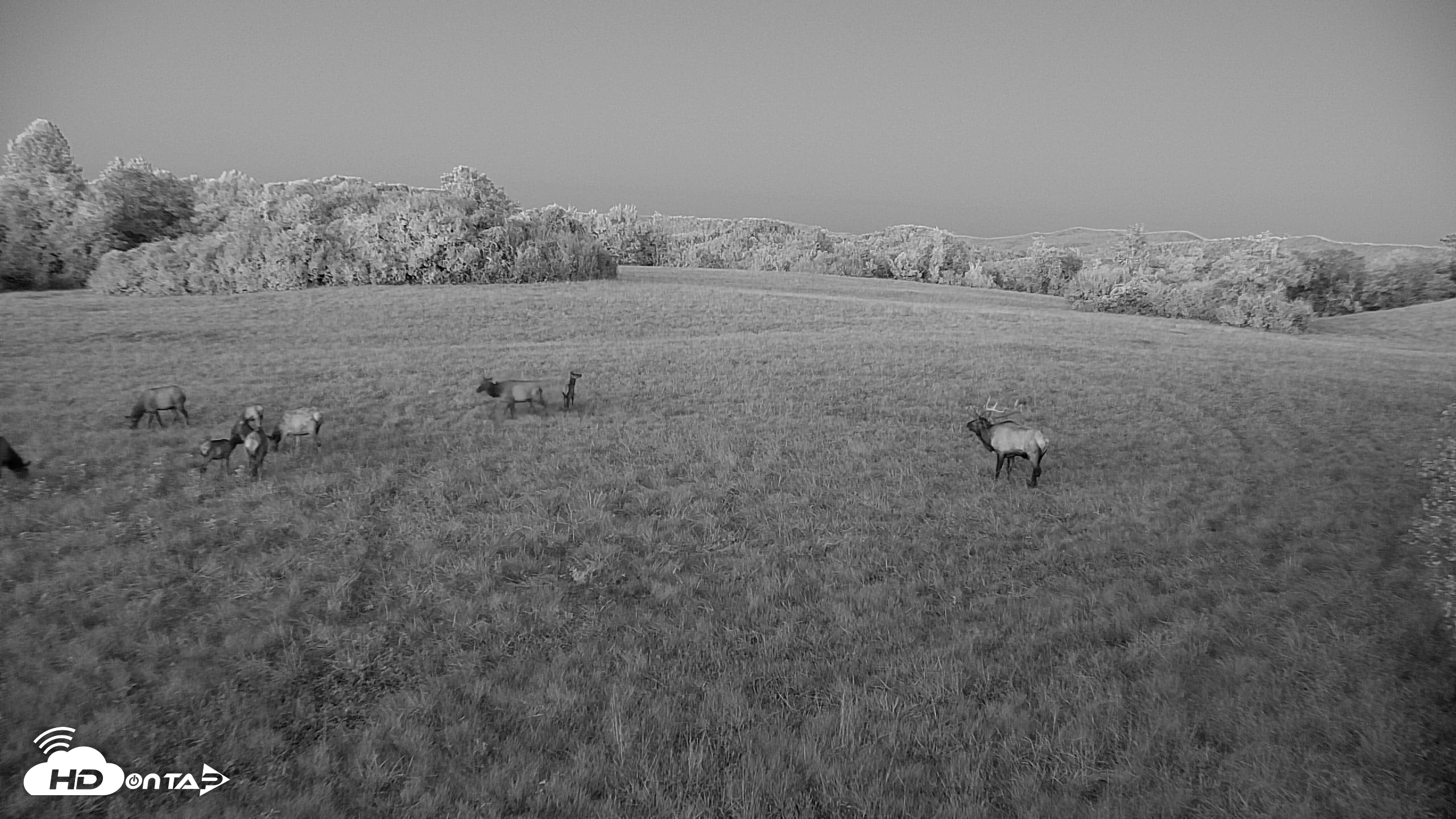 Snapshot of Tennessee Elk Live Webcam taken Oct 7, 2026, 7:35pm EDT